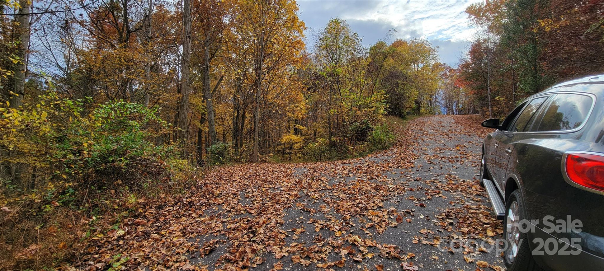 40 Rons Ridge - Photo 3