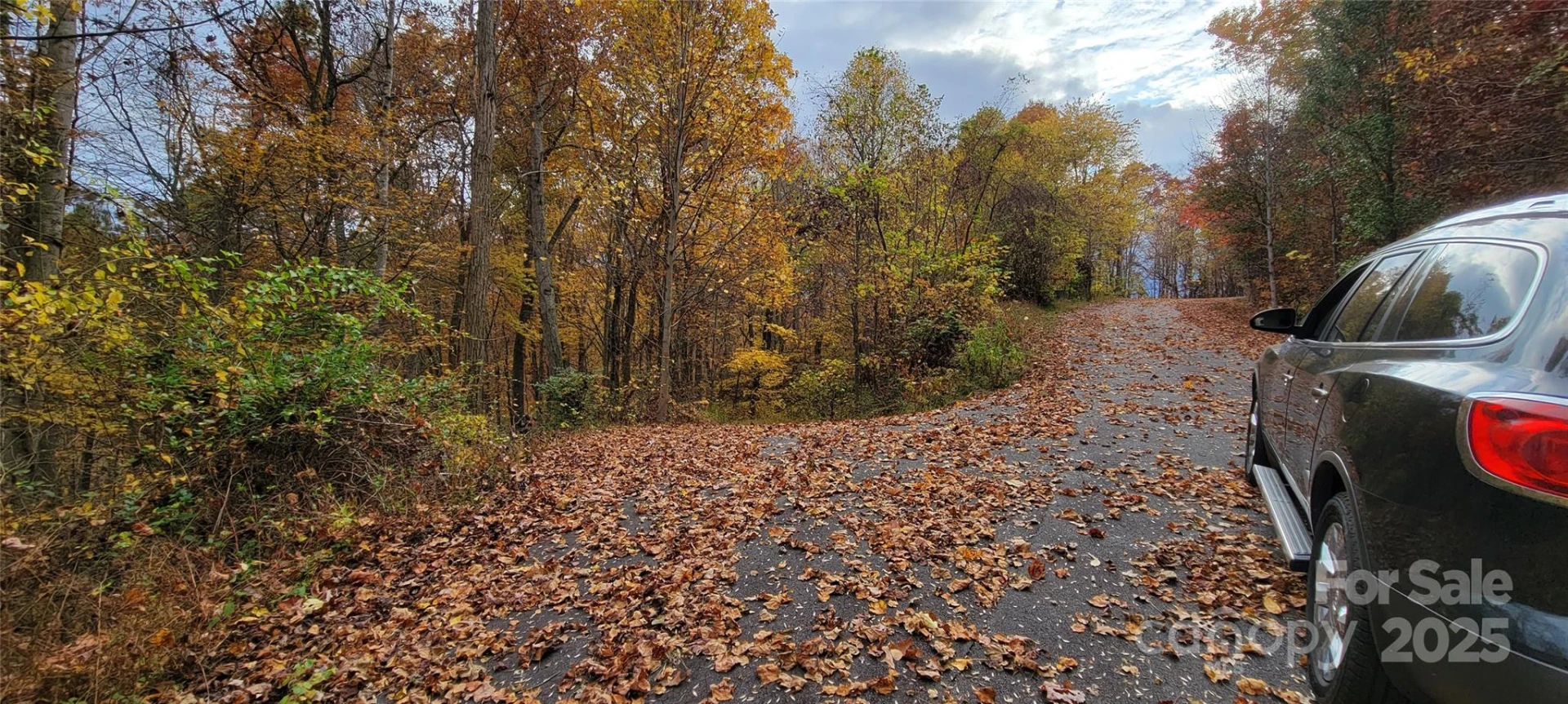 40 Rons Ridge - Photo 3