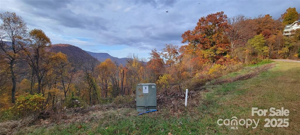 40 Rons Ridge - Photo 4