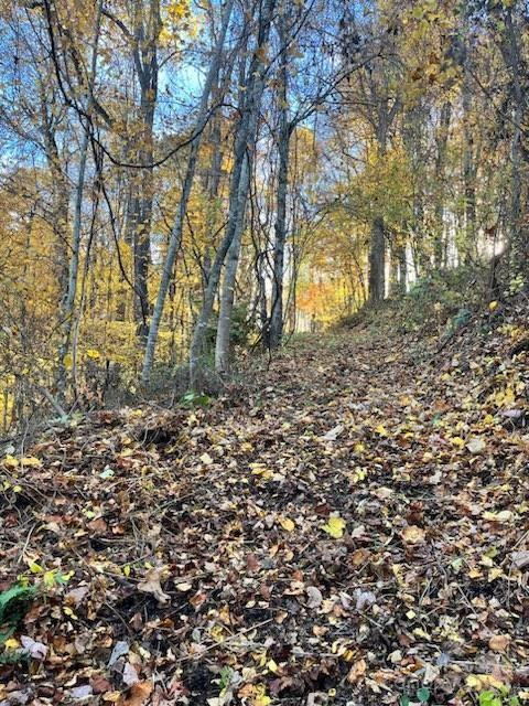 0 Whispering Winds Road - Photo 2