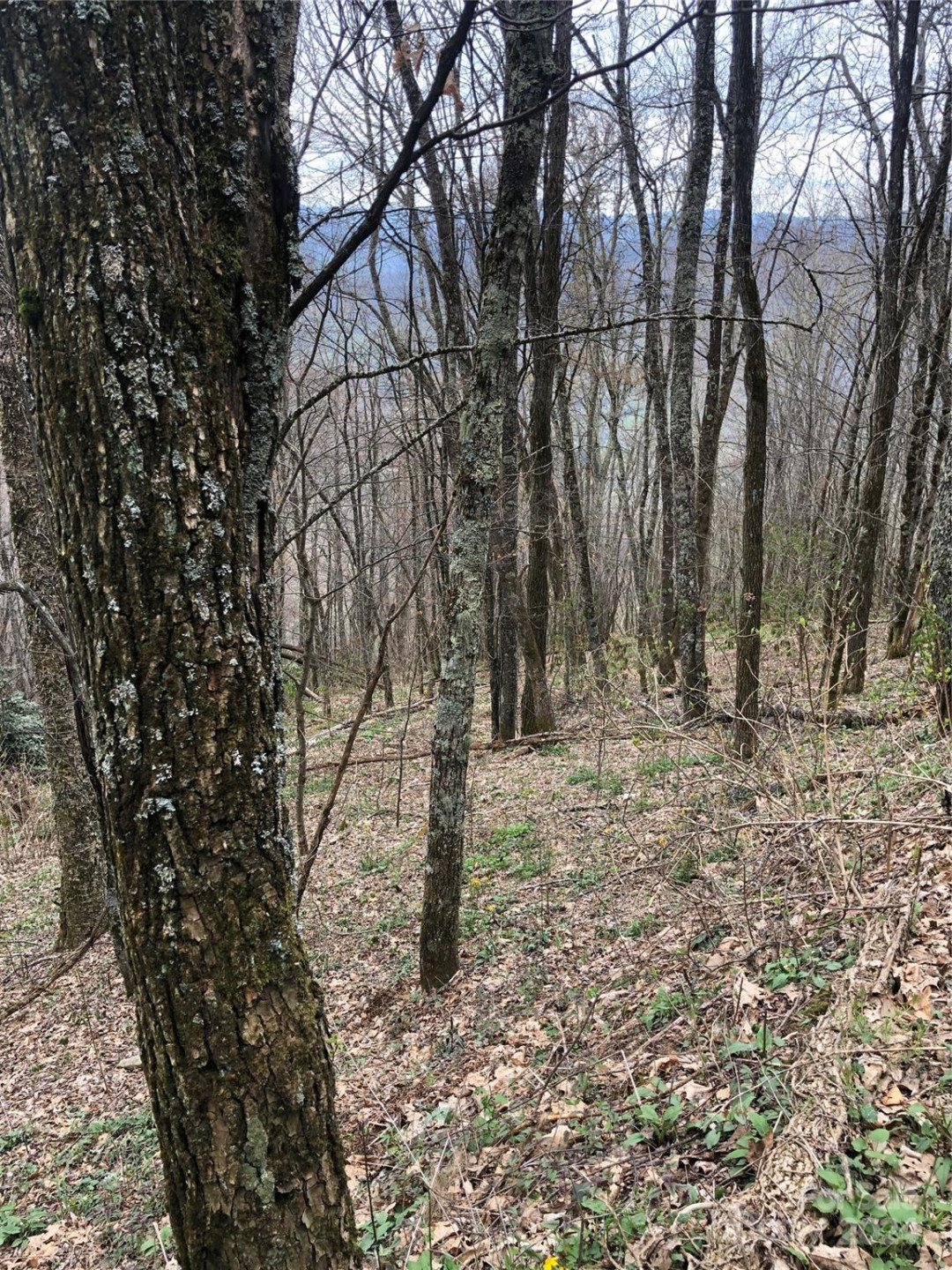 Lot 18 Quail Ridge Drive - Photo 11