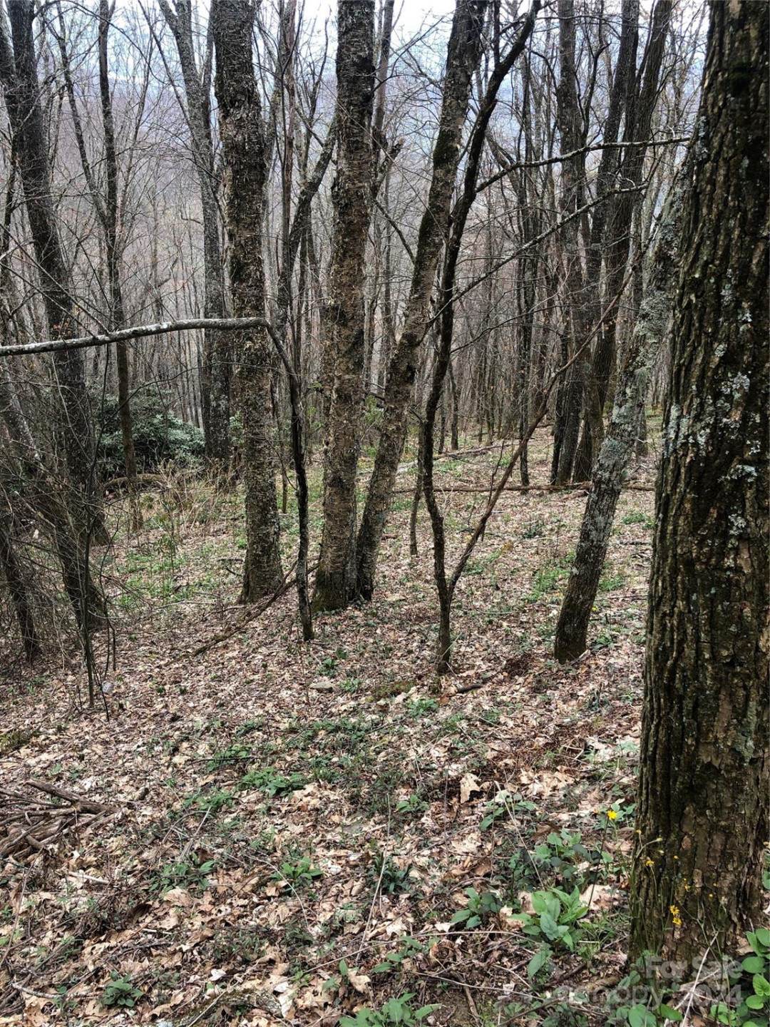 Lot 18 Quail Ridge Drive - Photo 12