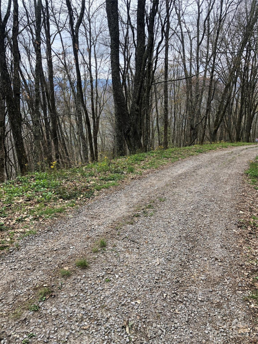 Lot 18 Quail Ridge Drive - Photo 13