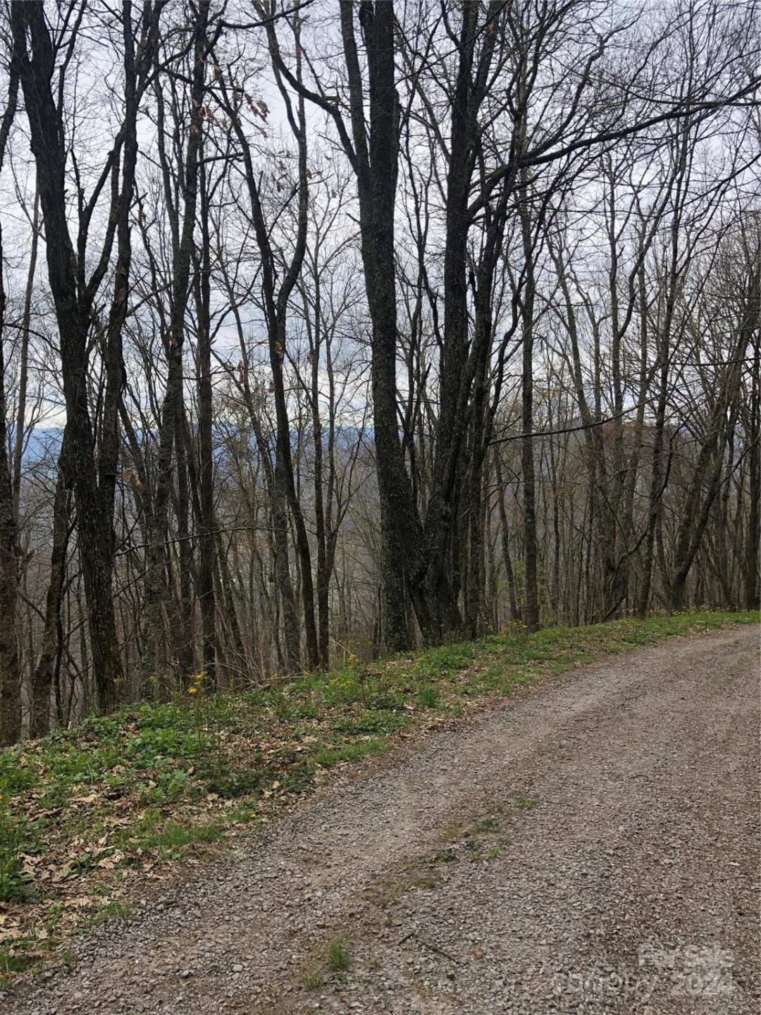 Lot 18 Quail Ridge Drive - Photo 14