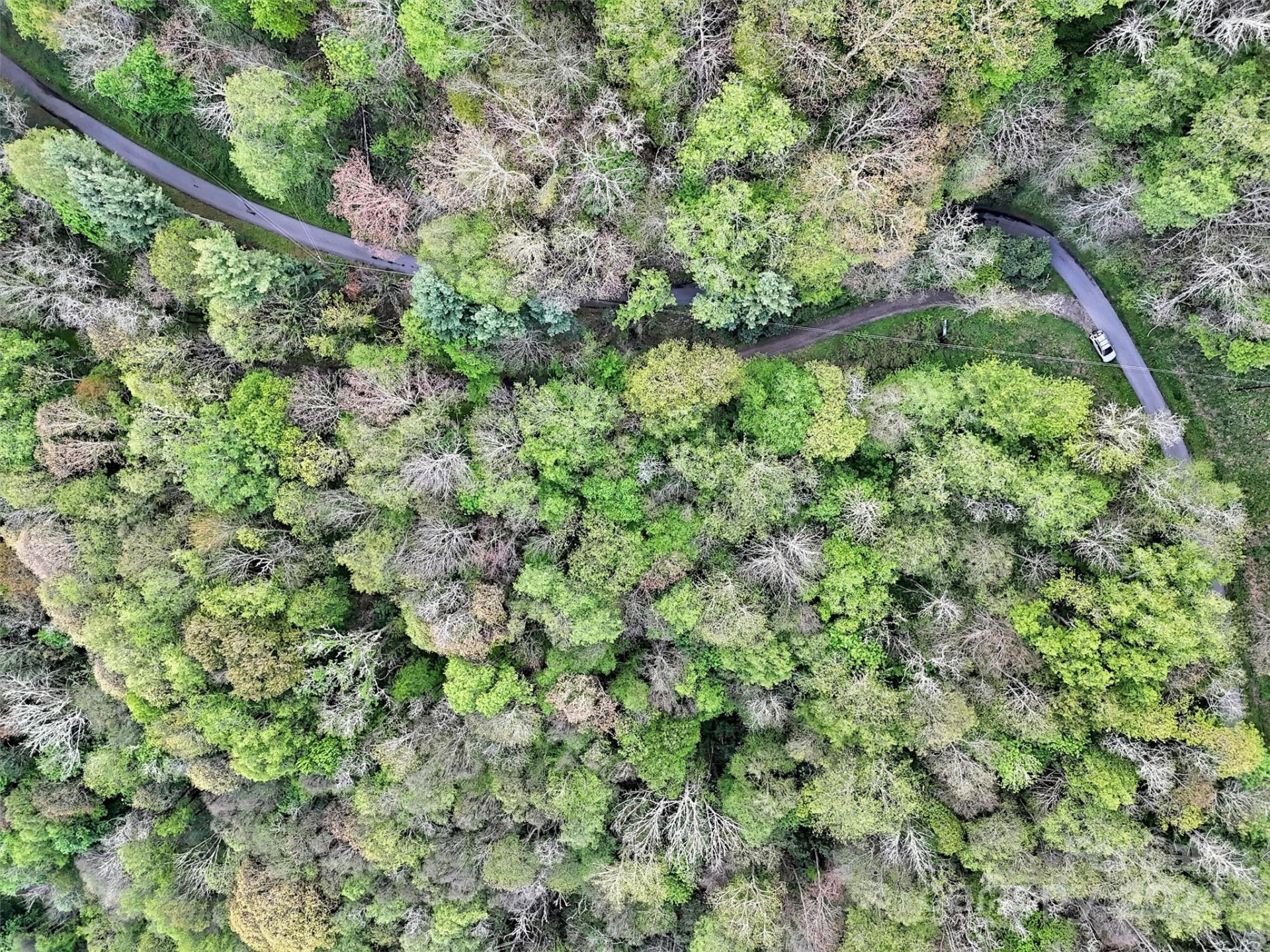 Lot 18 Quail Ridge Drive - Photo 18