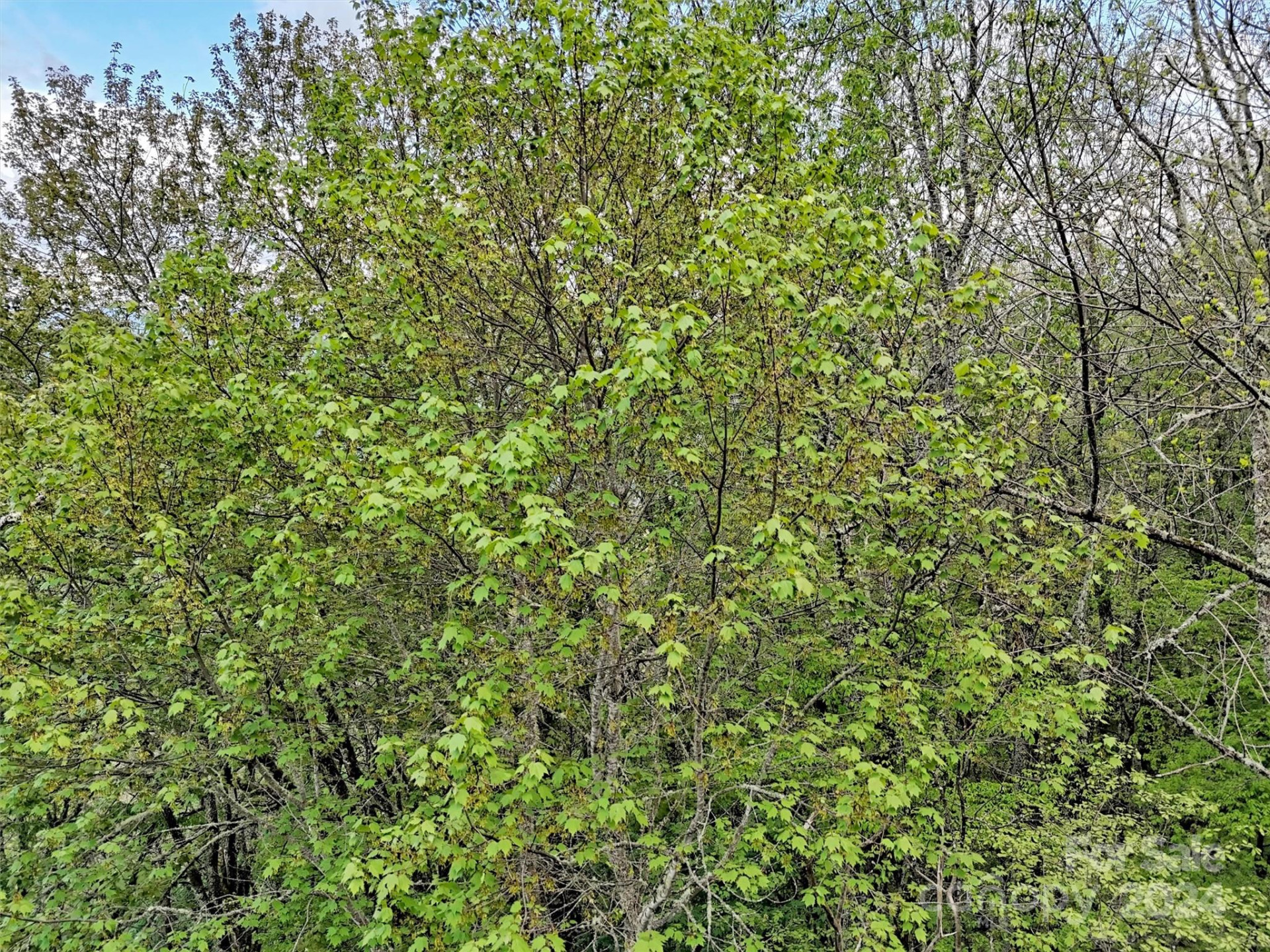 Lot 18 Quail Ridge Drive - Photo 19