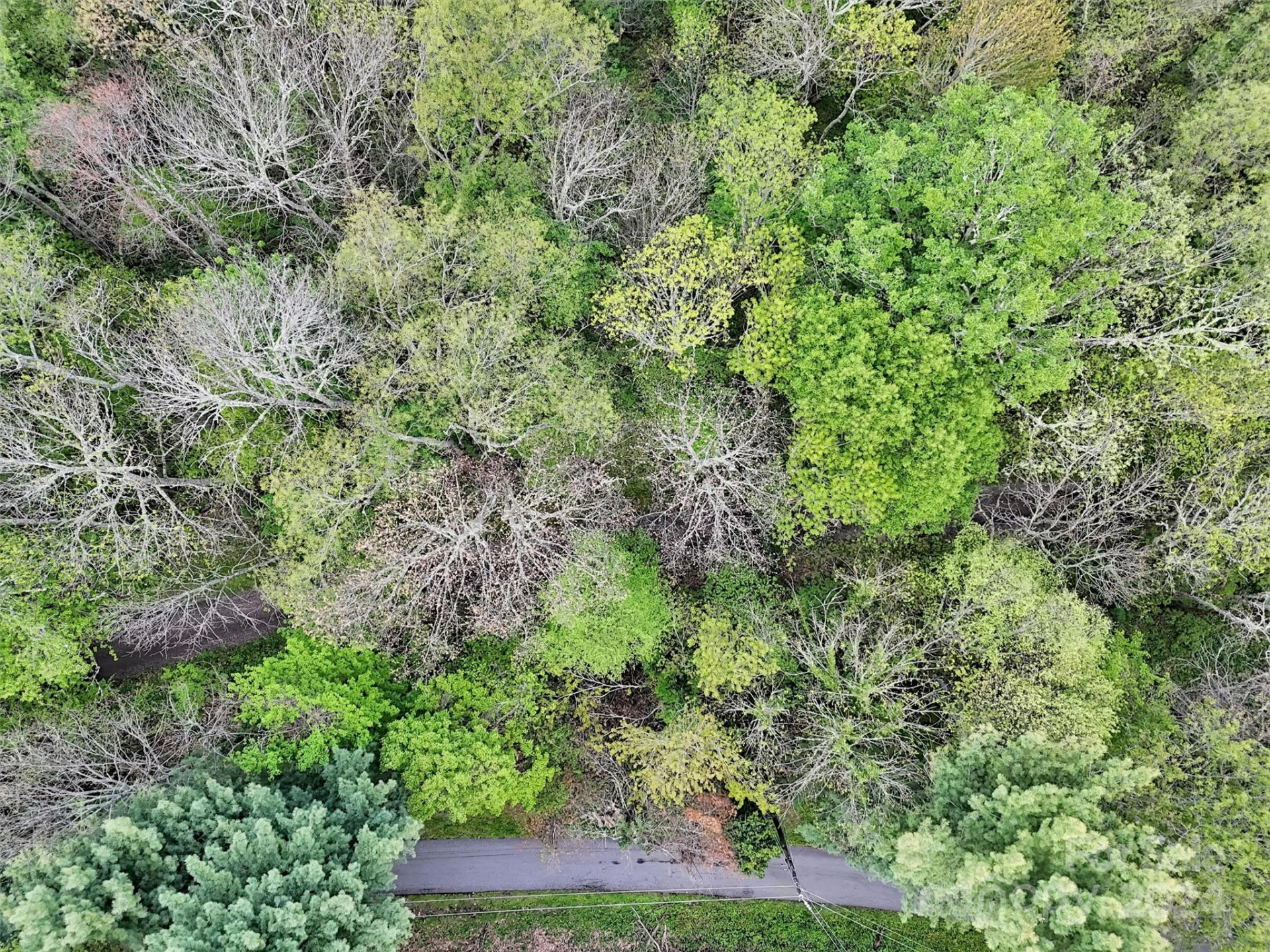 Lot 18 Quail Ridge Drive - Photo 20