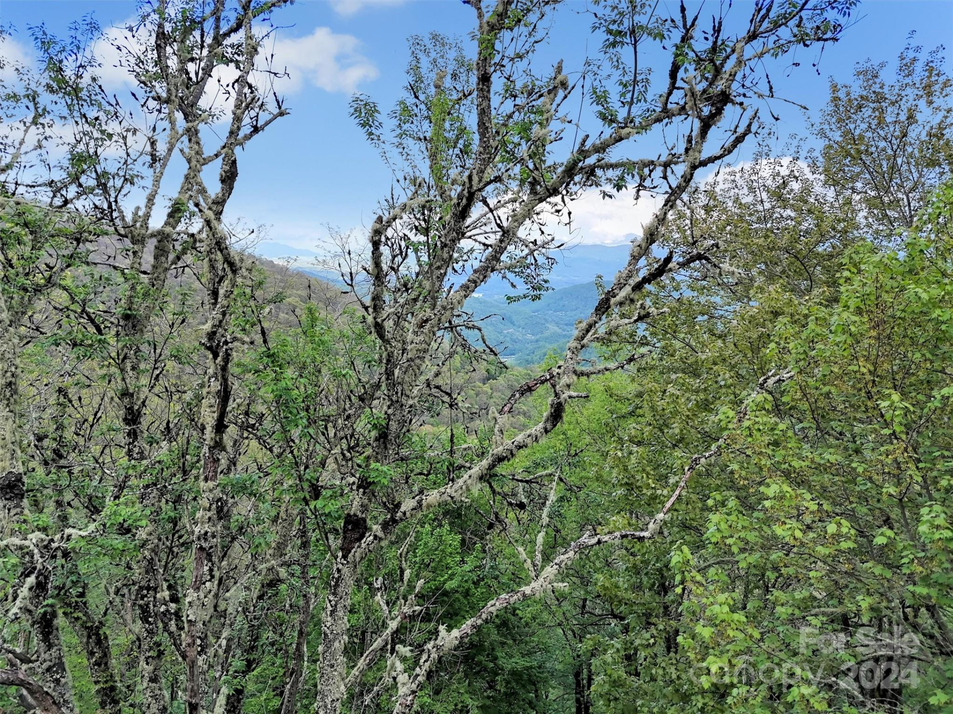 Lot 18 Quail Ridge Drive - Photo 3