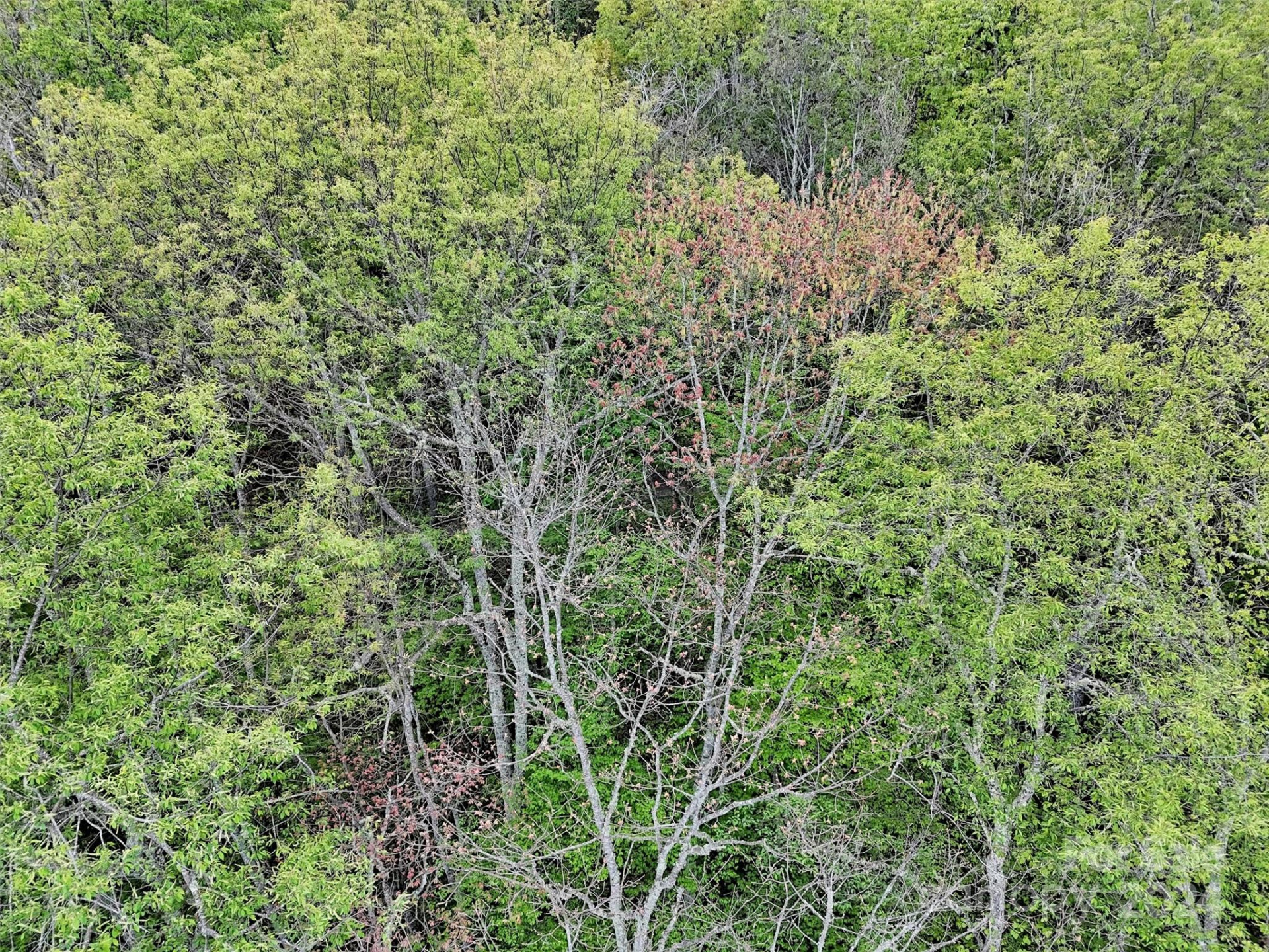 Lot 18 Quail Ridge Drive - Photo 21