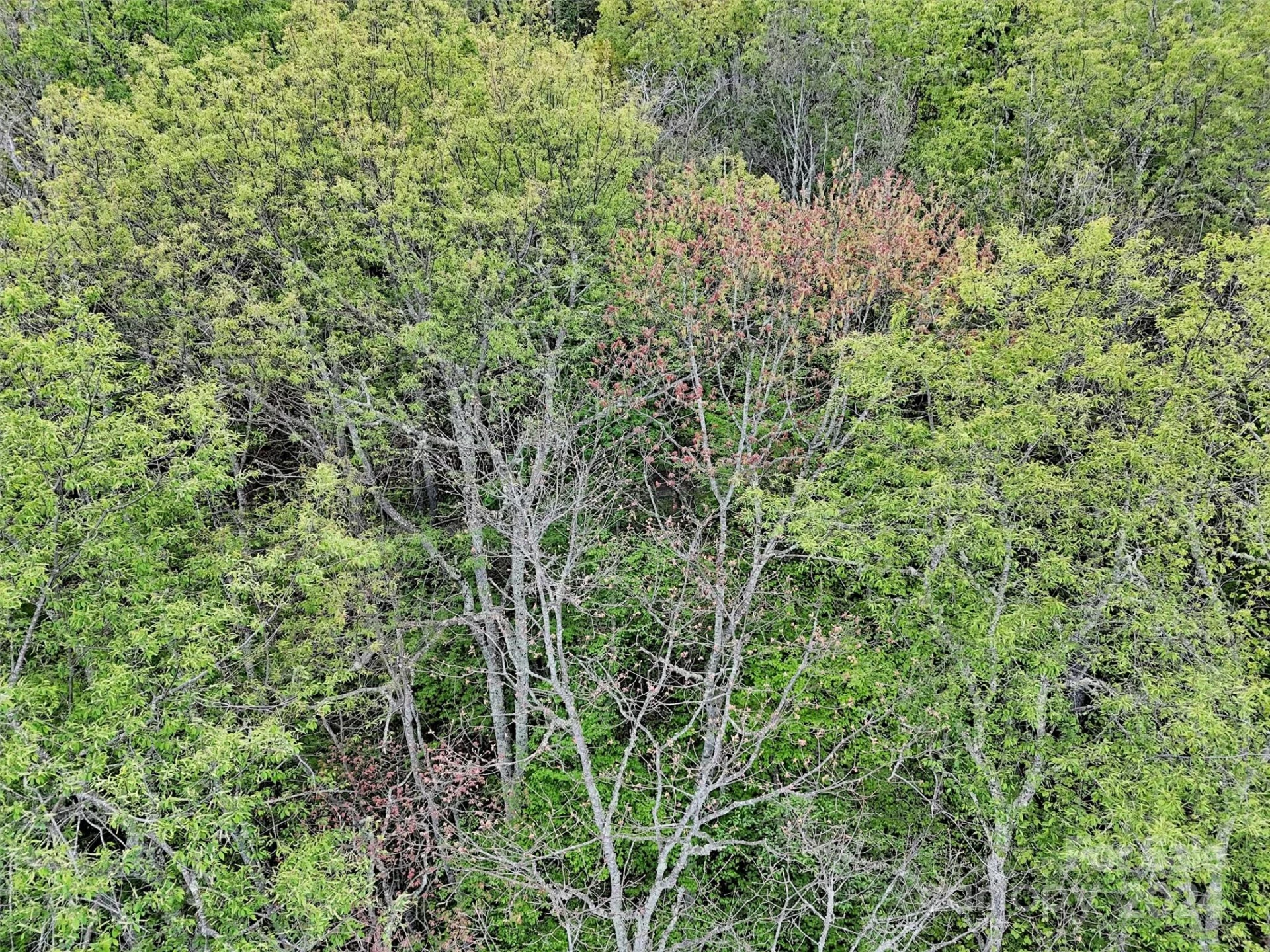 Lot 18 Quail Ridge Drive - Photo 21