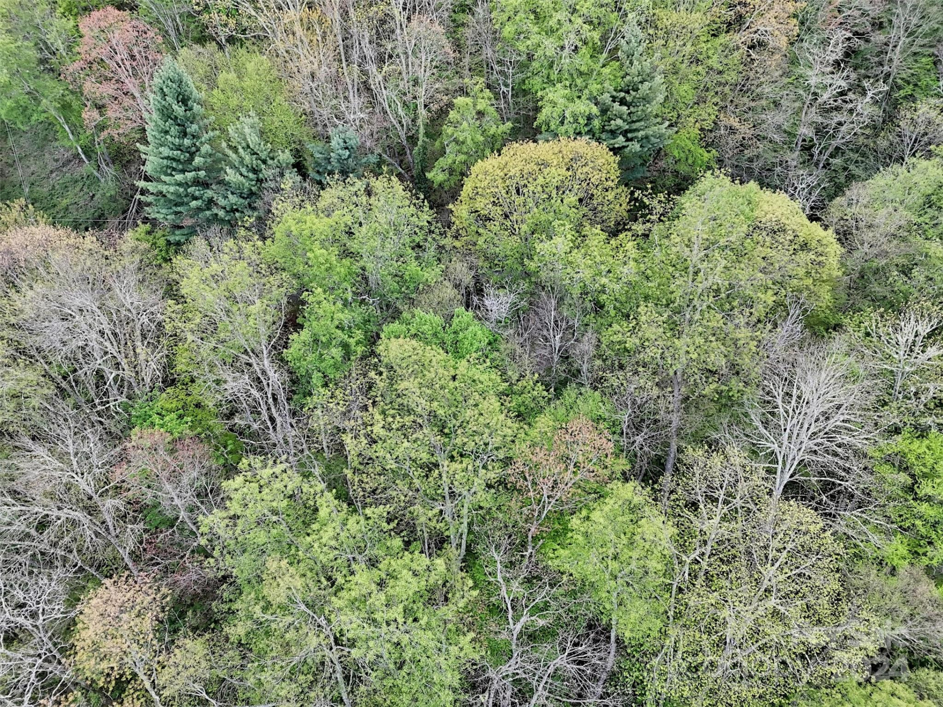 Lot 18 Quail Ridge Drive - Photo 22