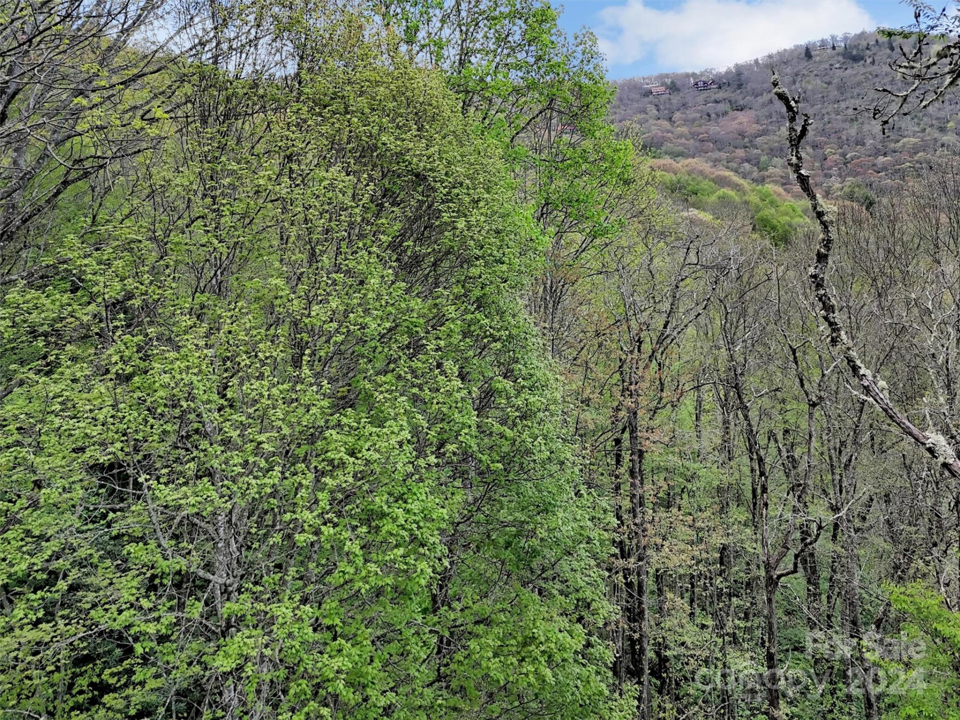 Lot 18 Quail Ridge Drive - Photo 4