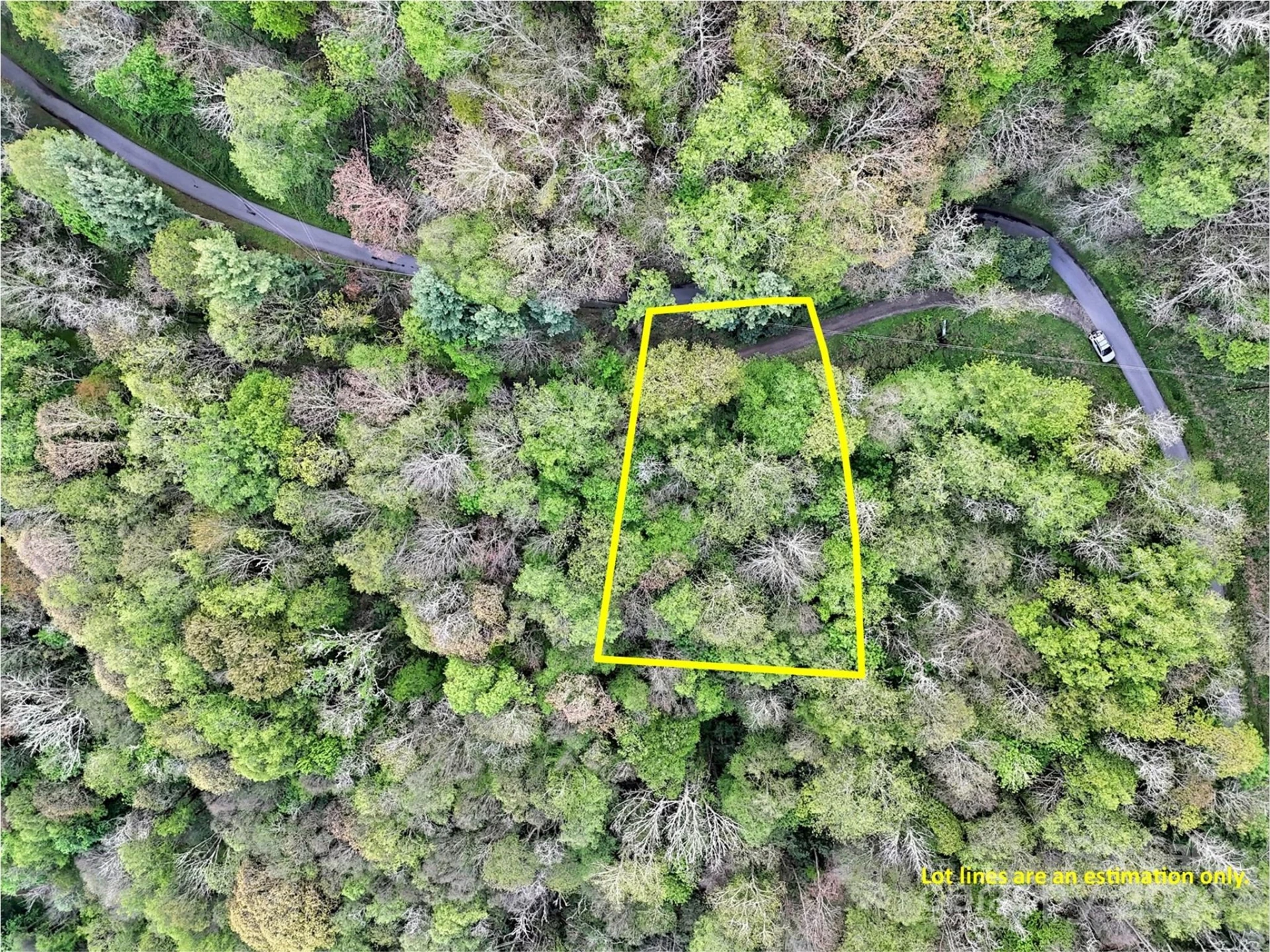 Lot 18 Quail Ridge Drive - Photo 5
