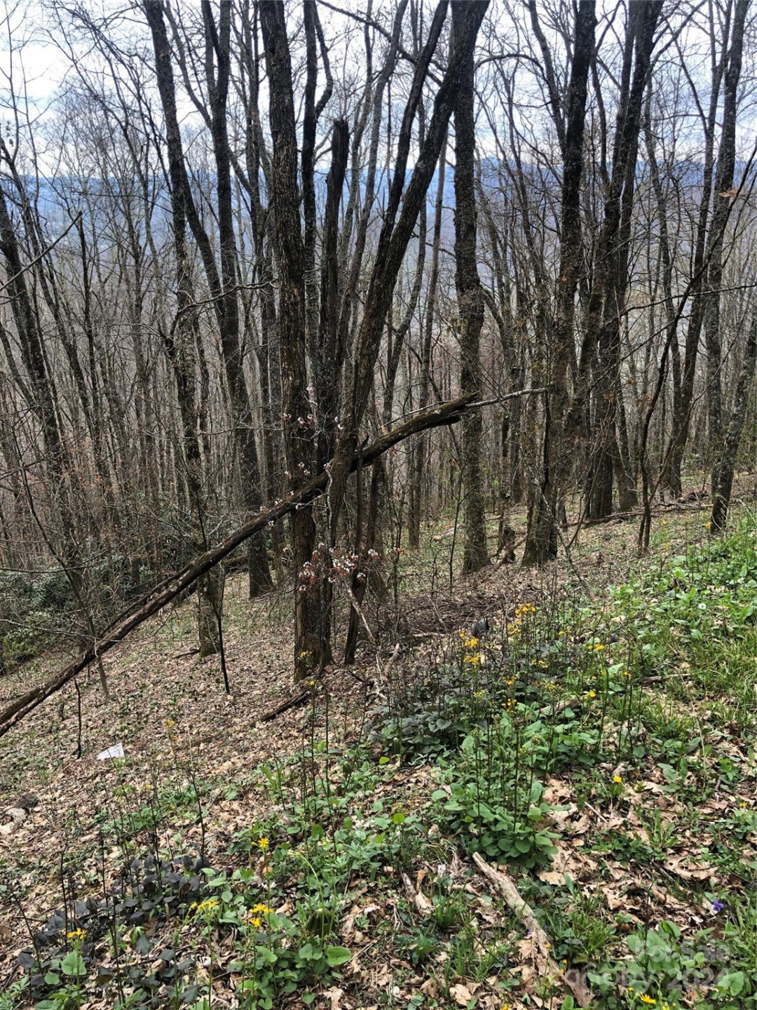 Lot 18 Quail Ridge Drive - Photo 7