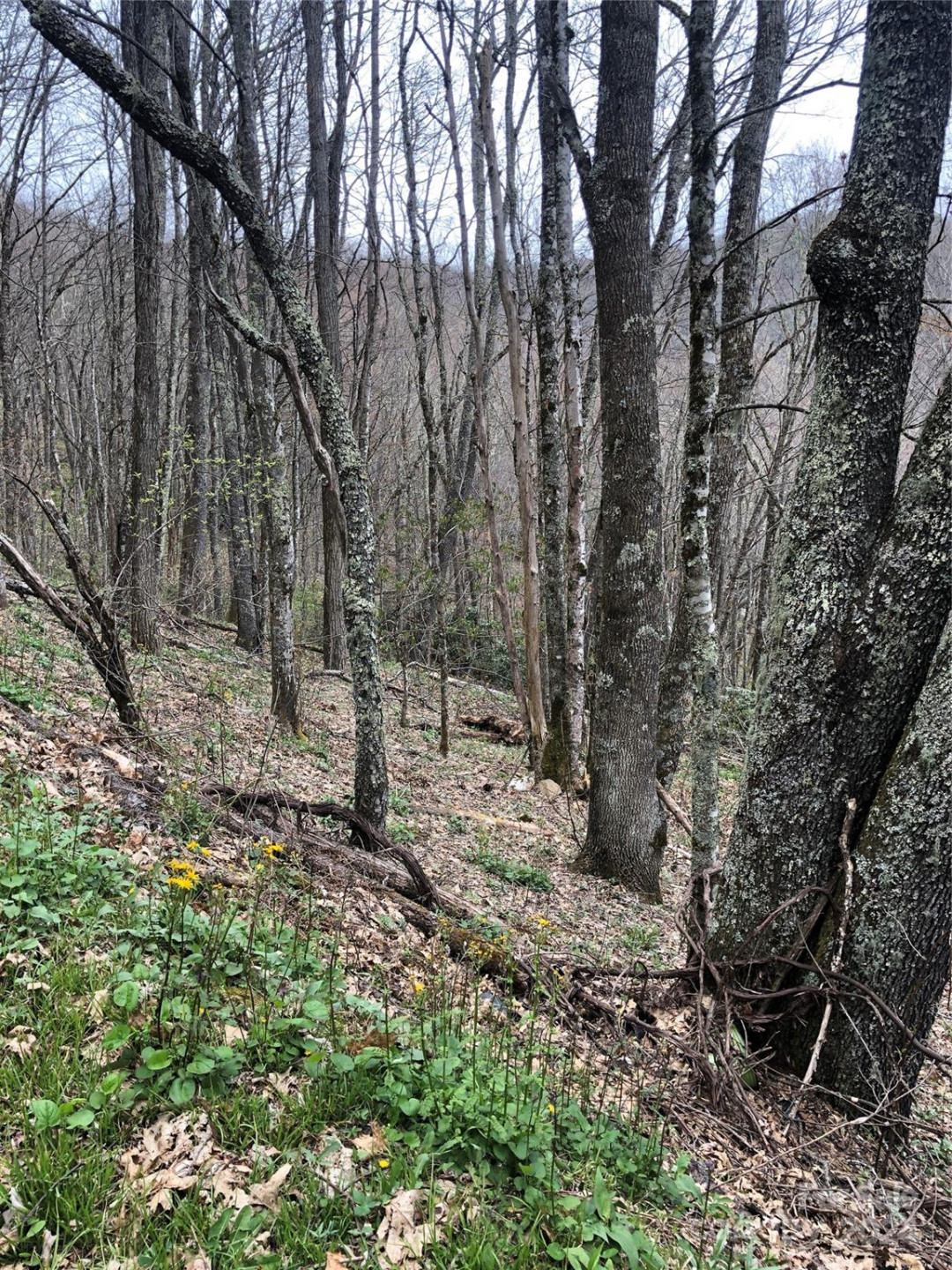 Lot 18 Quail Ridge Drive - Photo 8