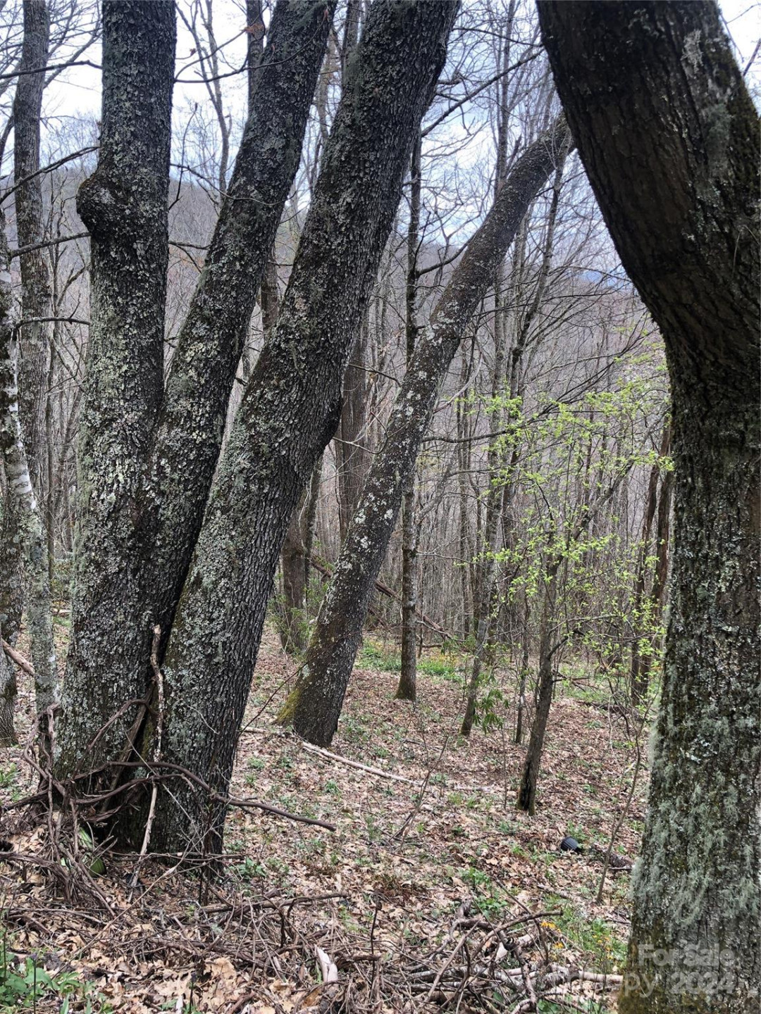 Lot 18 Quail Ridge Drive - Photo 9