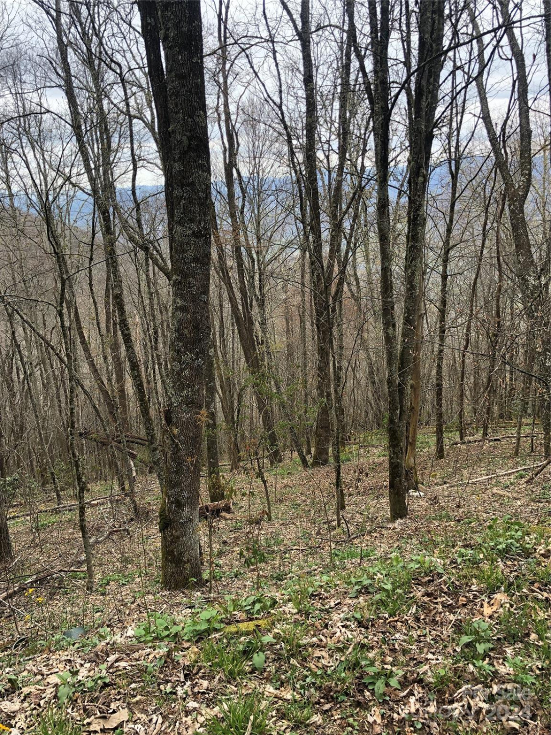 Lot 18 Quail Ridge Drive - Photo 10