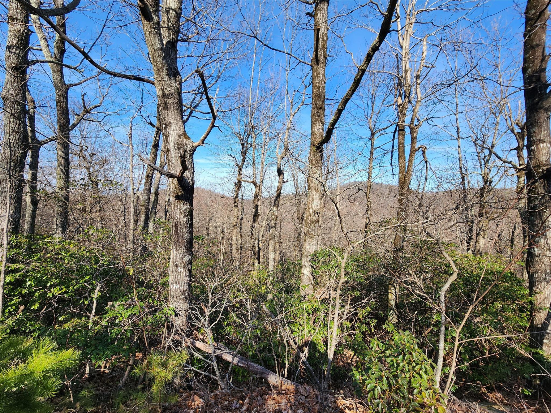 Lot 22 Sunset Ridge Drive #22 - Photo 8