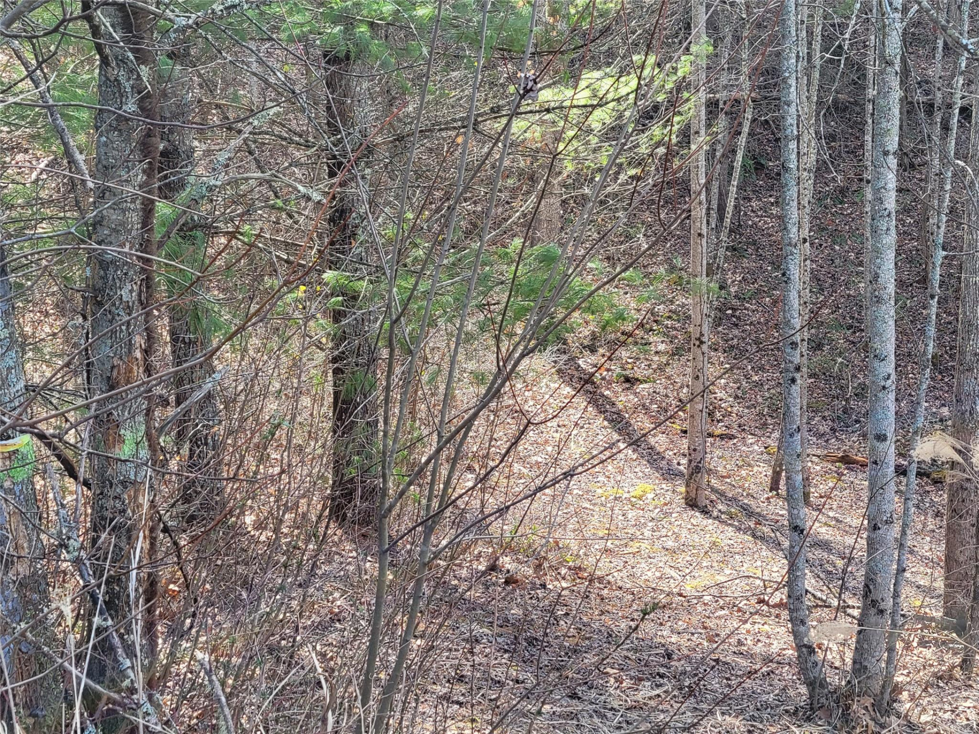 235 Macduff Lane #16 - Photo 2