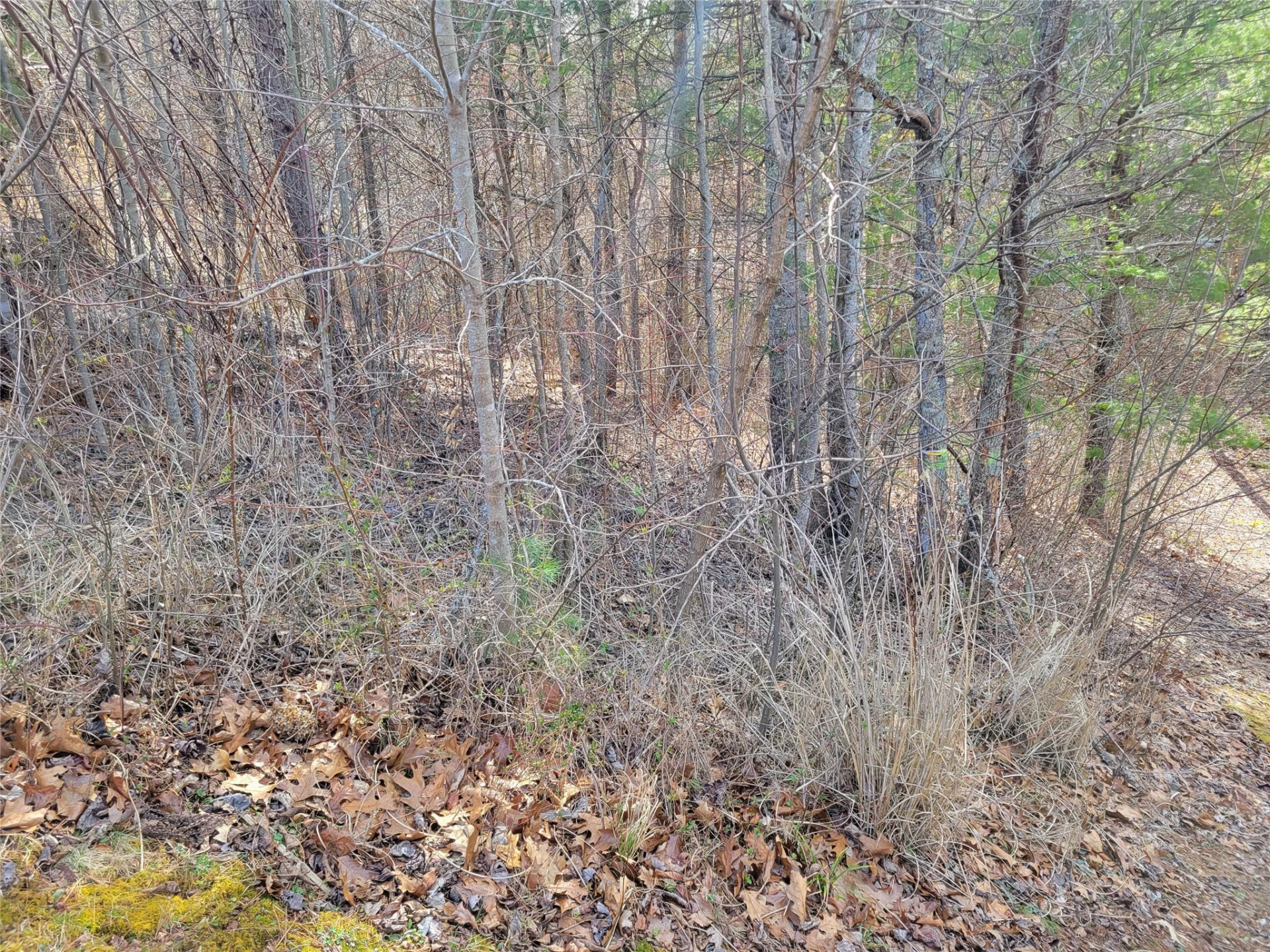 235 Macduff Lane #16 - Photo 3