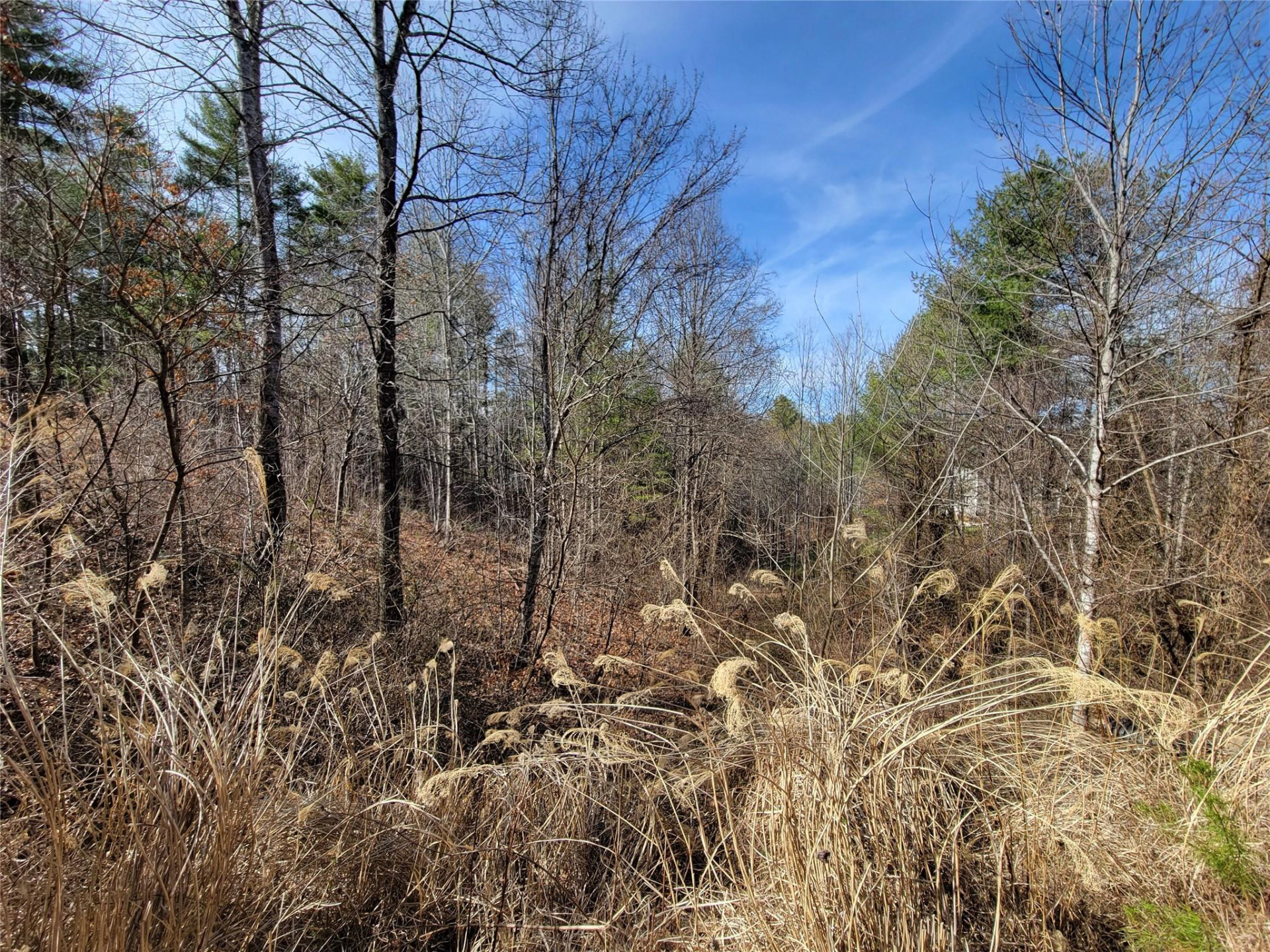 235 Macduff Lane #16 - Photo 4