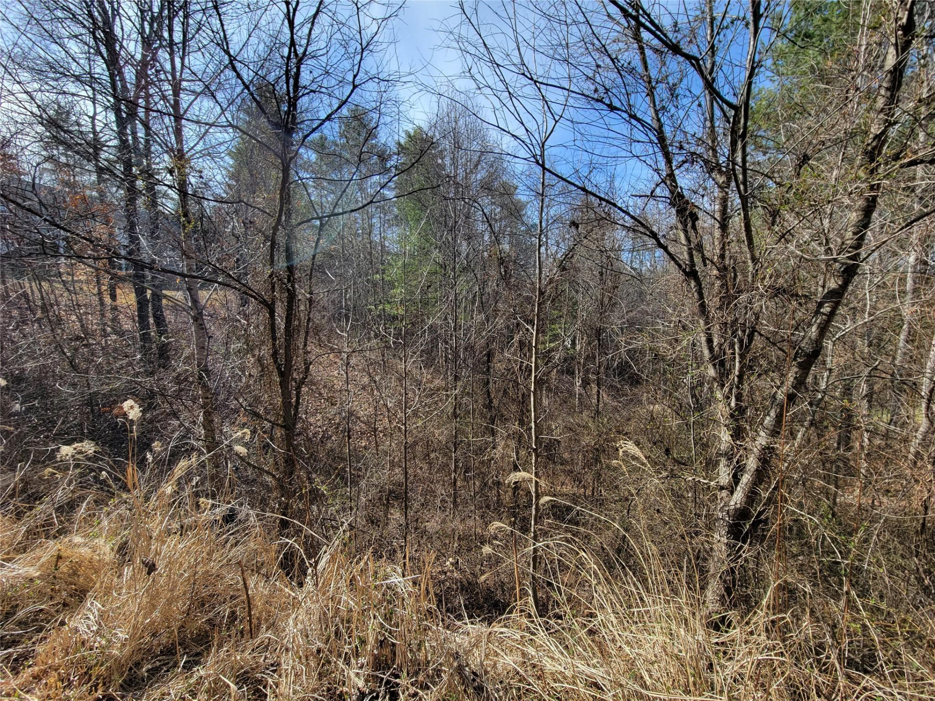 235 Macduff Lane #16 - Photo 5