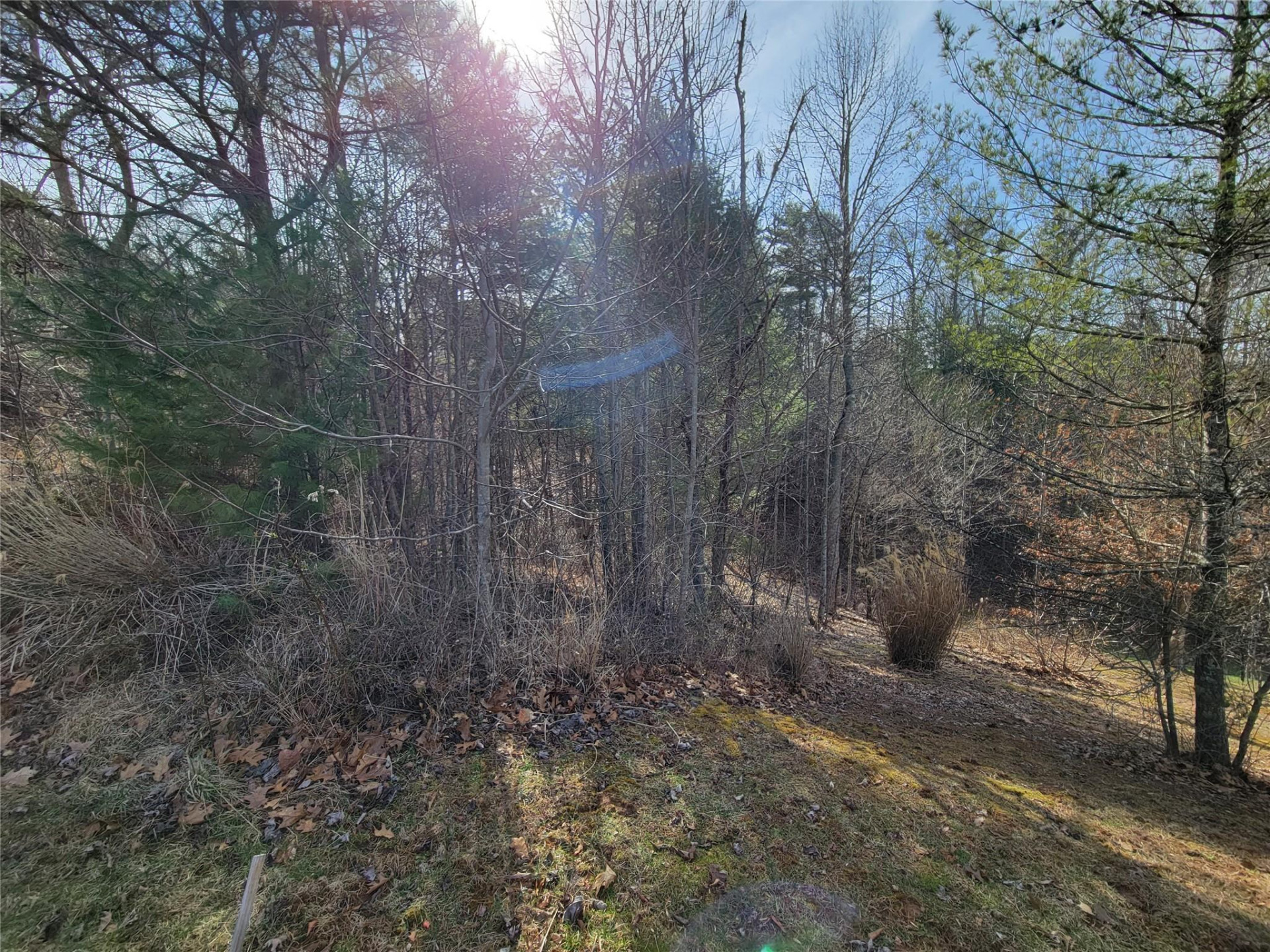 235 Macduff Lane #16 - Photo 6