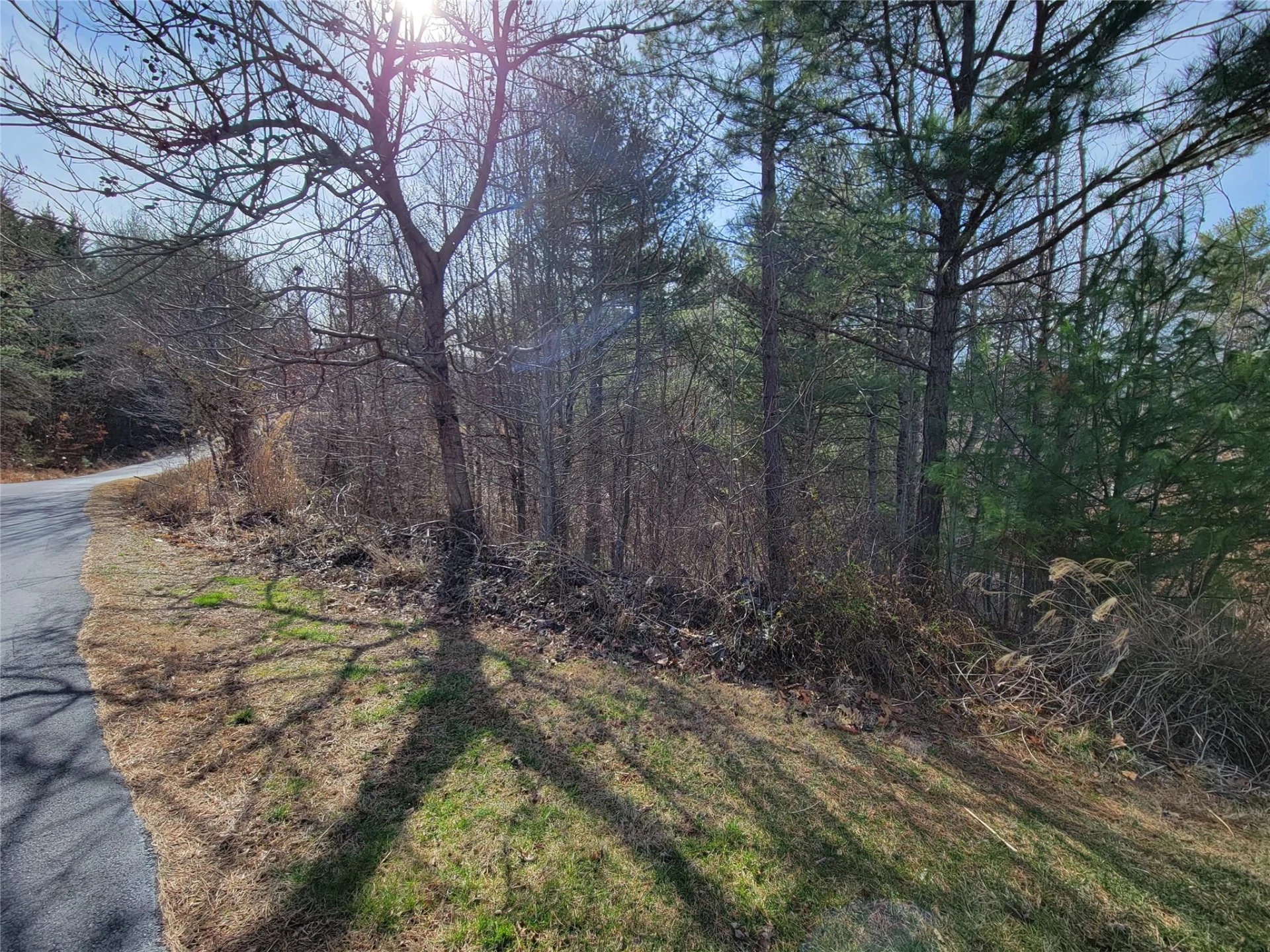 235 Macduff Lane #16 - Photo 7