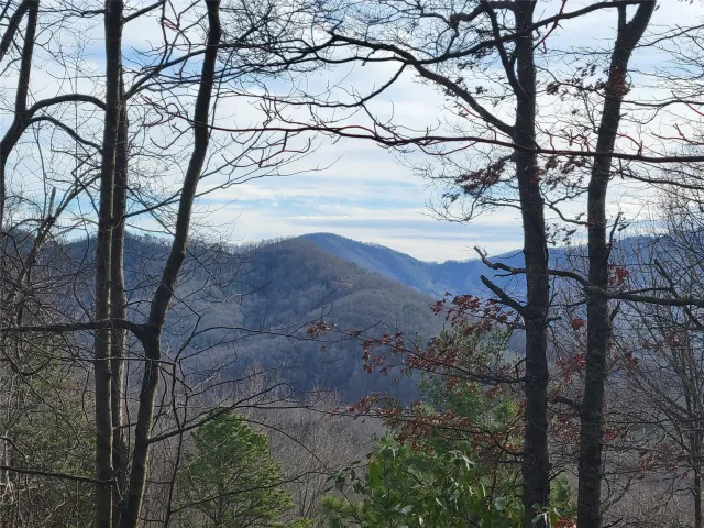 0000 Lookout Terrace Road