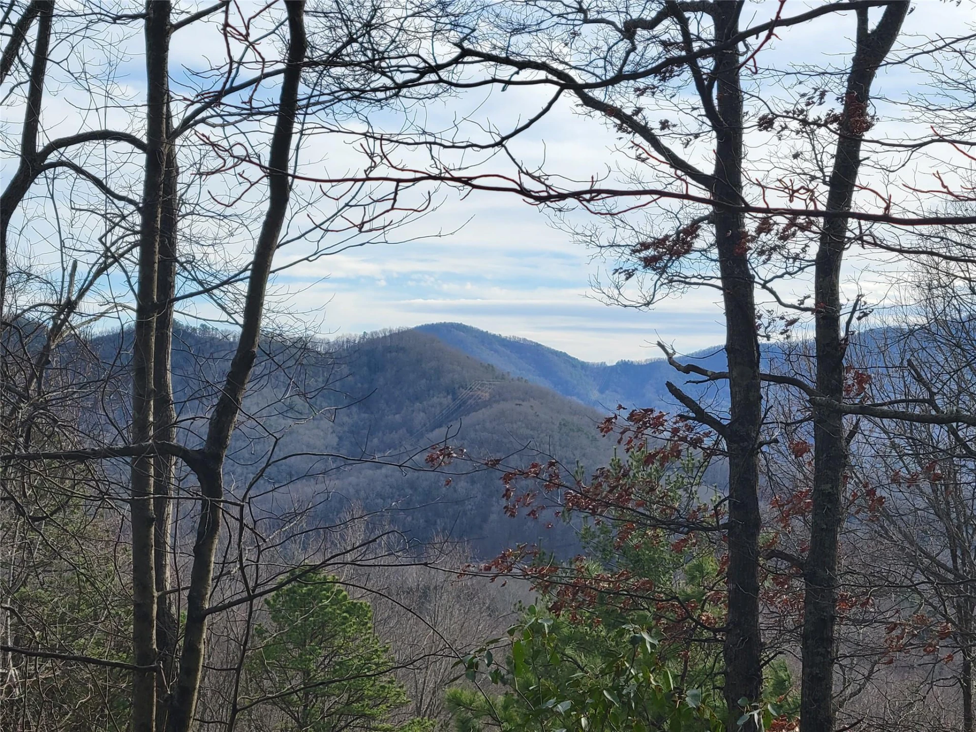 0000 Lookout Terrace Road