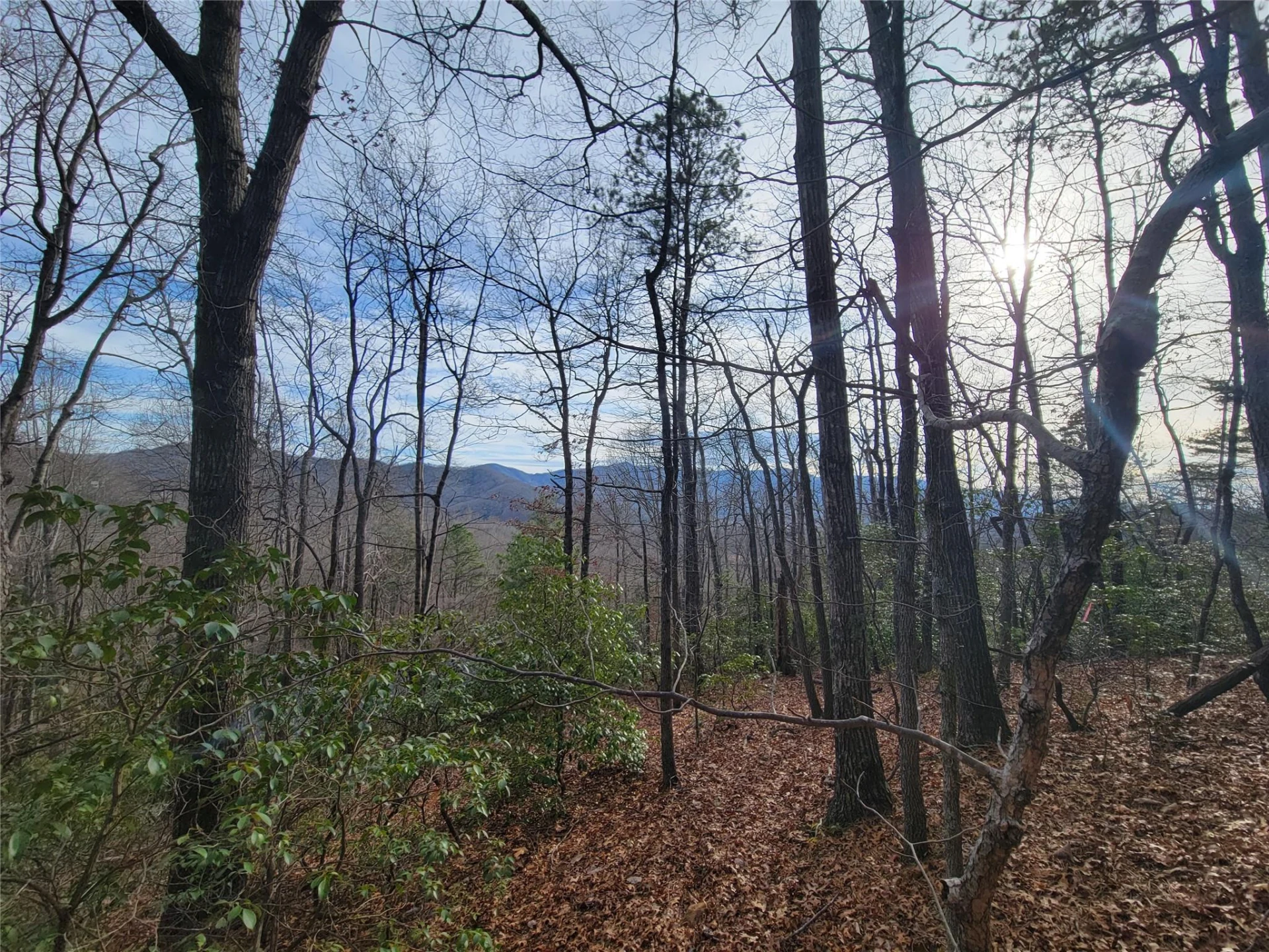 0000 Lookout Terrace Road - Photo 2