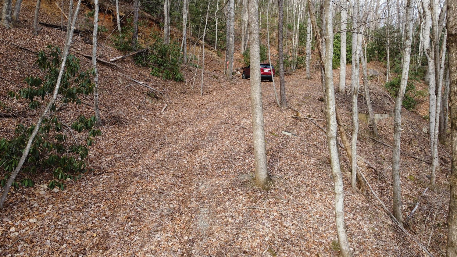 0000 Lookout Terrace Road - Photo 11