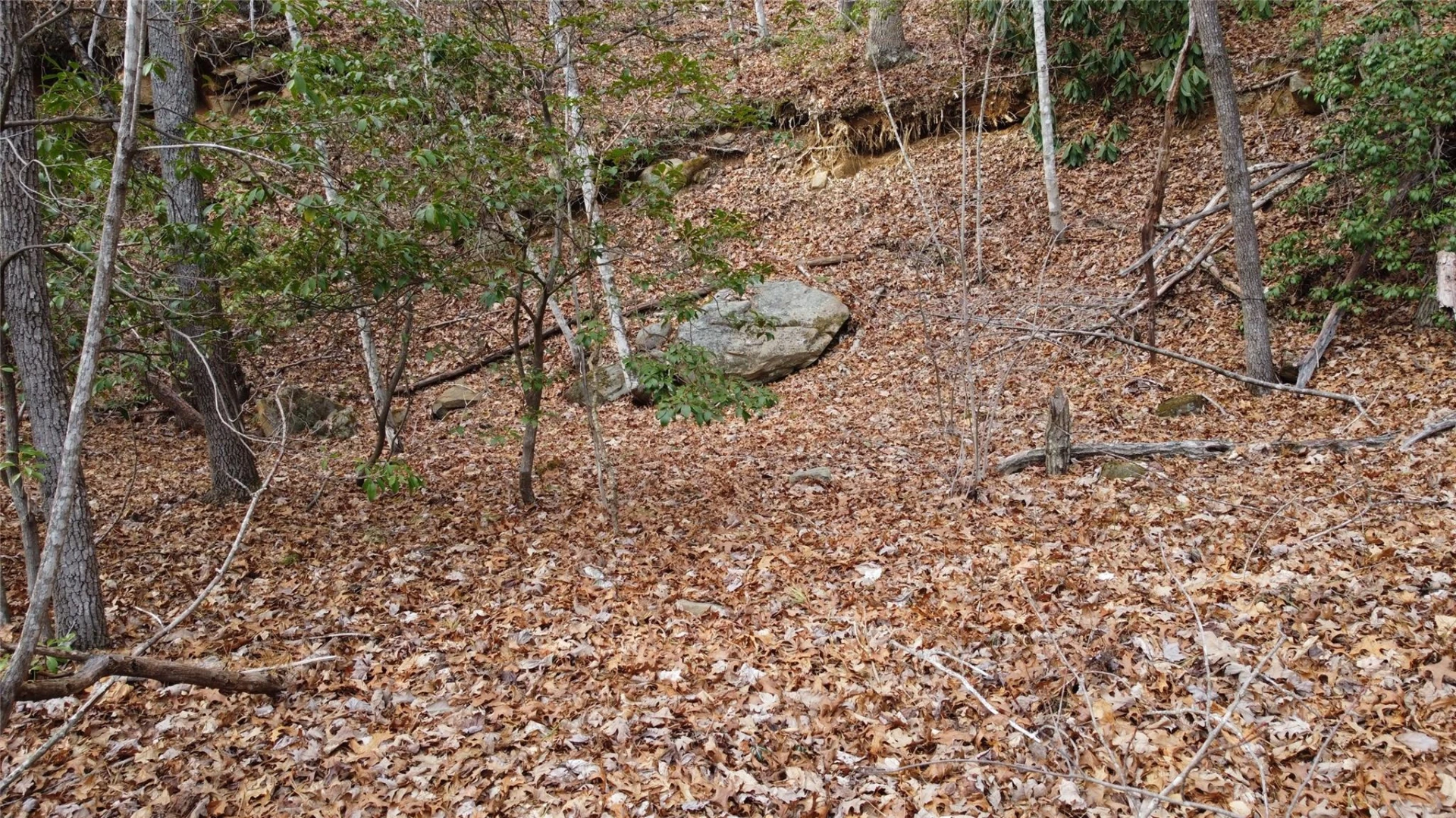 0000 Lookout Terrace Road - Photo 12