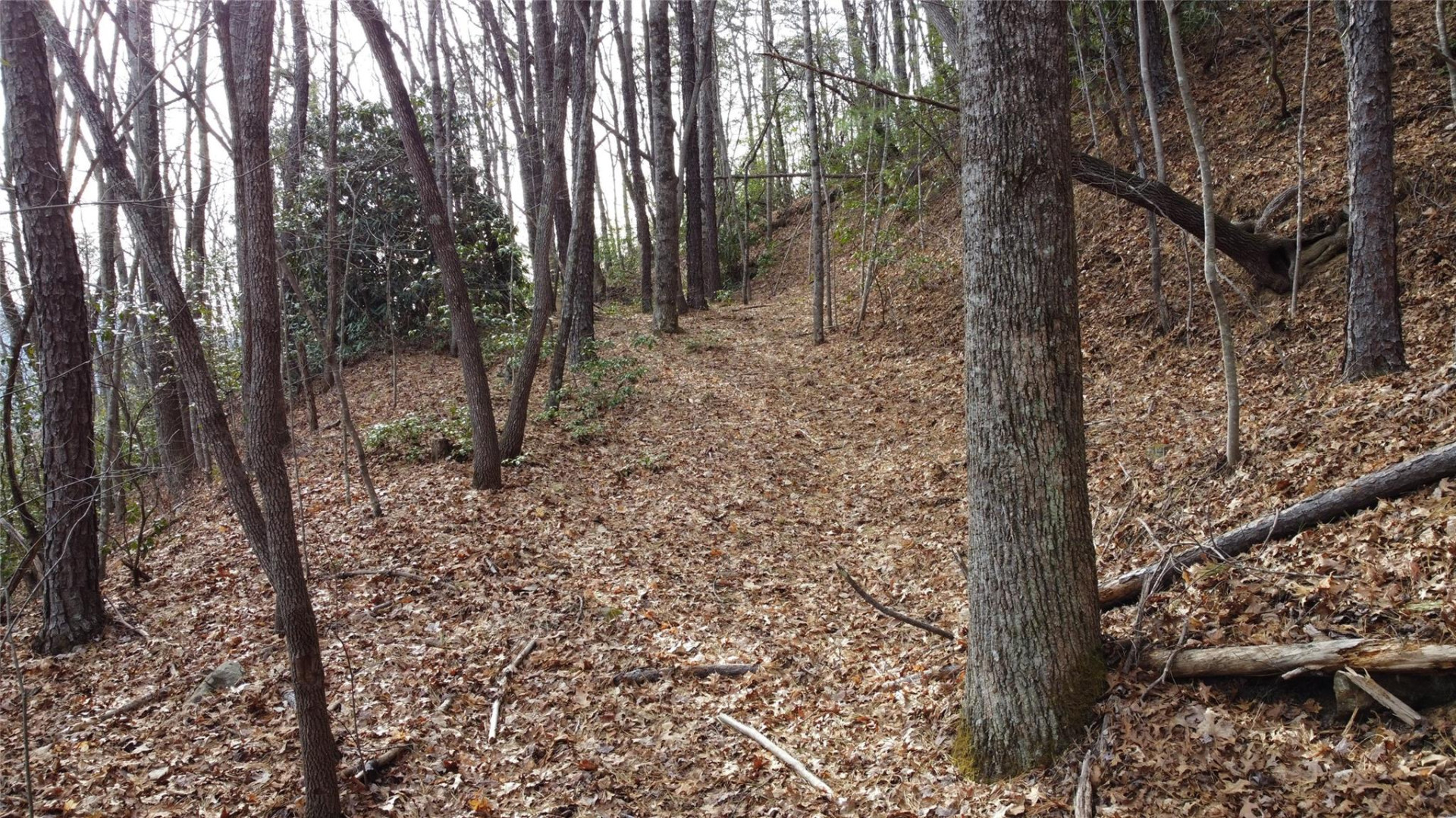 0000 Lookout Terrace Road - Photo 13