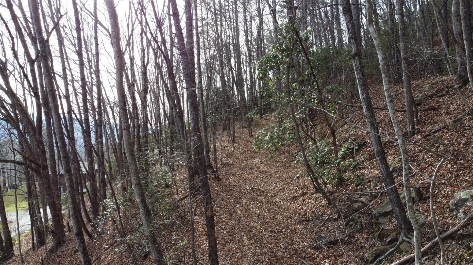 0000 Lookout Terrace Road - Photo 14