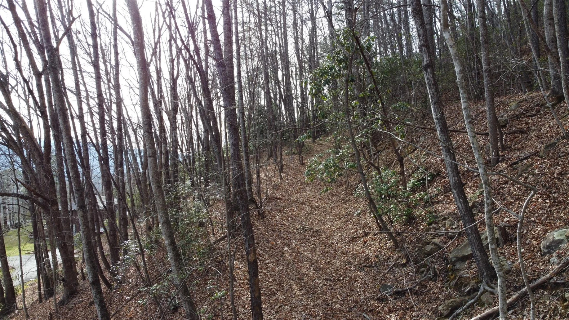 0000 Lookout Terrace Road - Photo 14