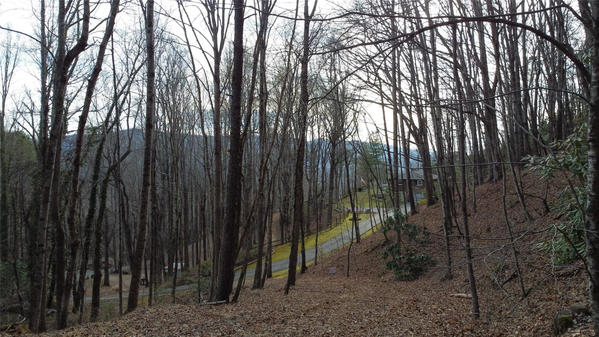 0000 Lookout Terrace Road - Photo 15