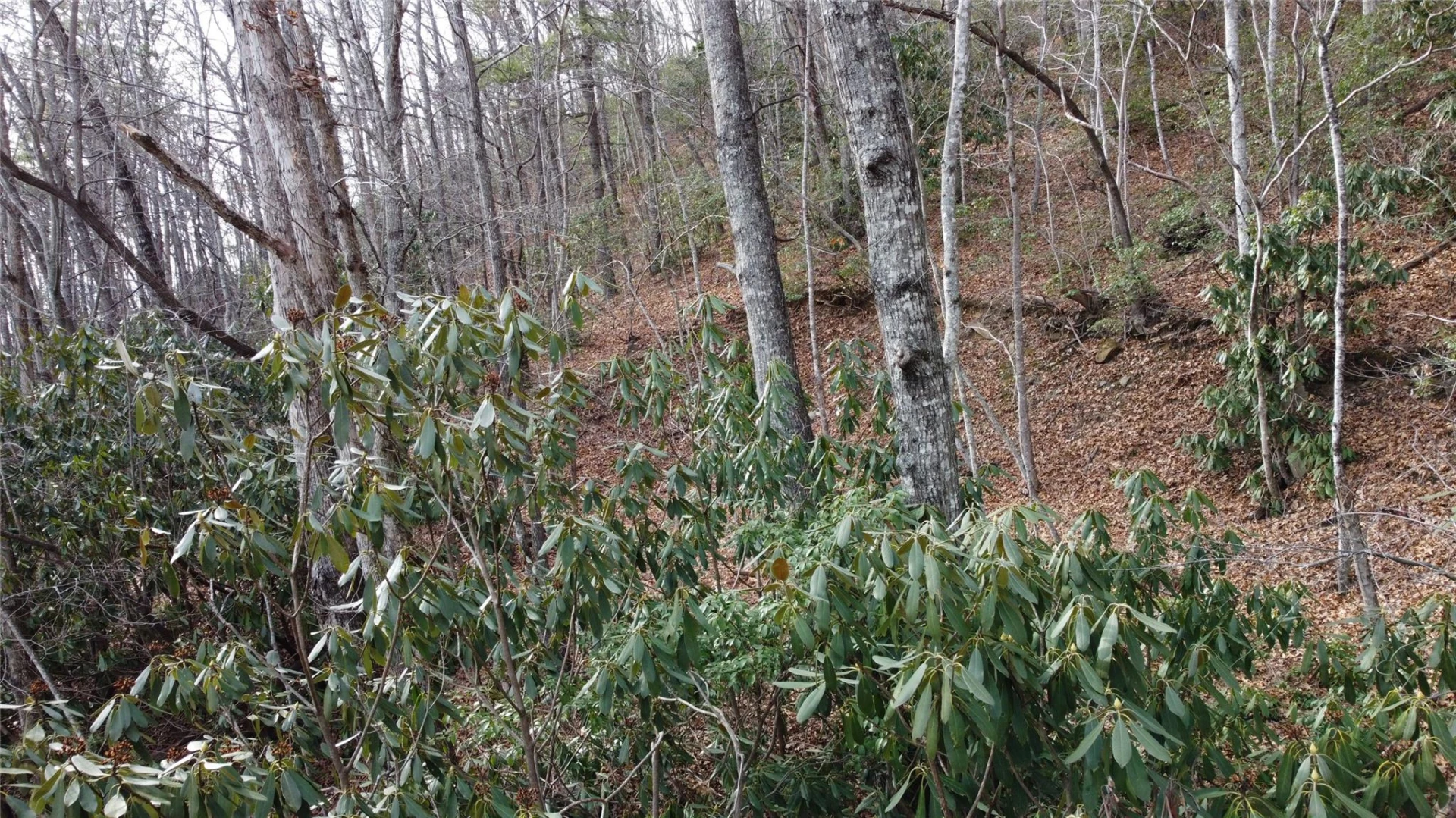 0000 Lookout Terrace Road - Photo 16