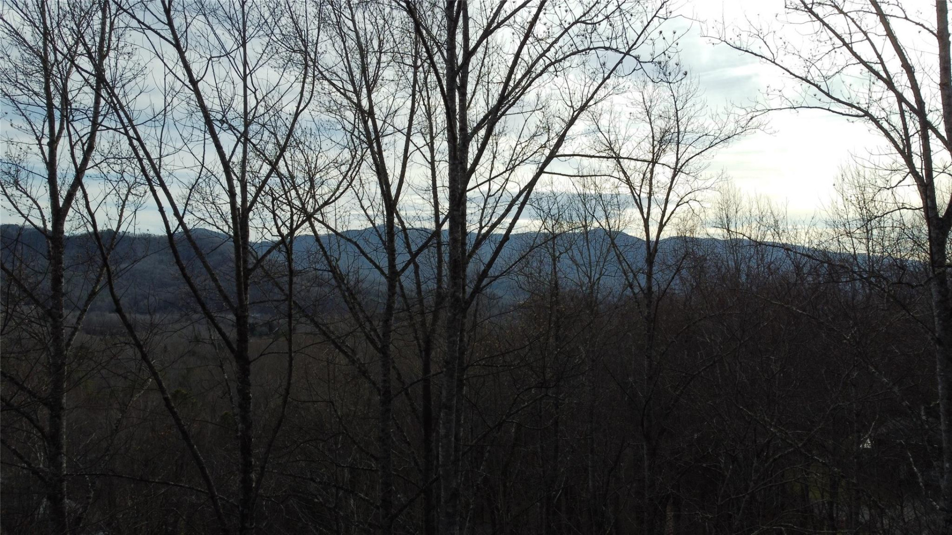 0000 Lookout Terrace Road - Photo 18