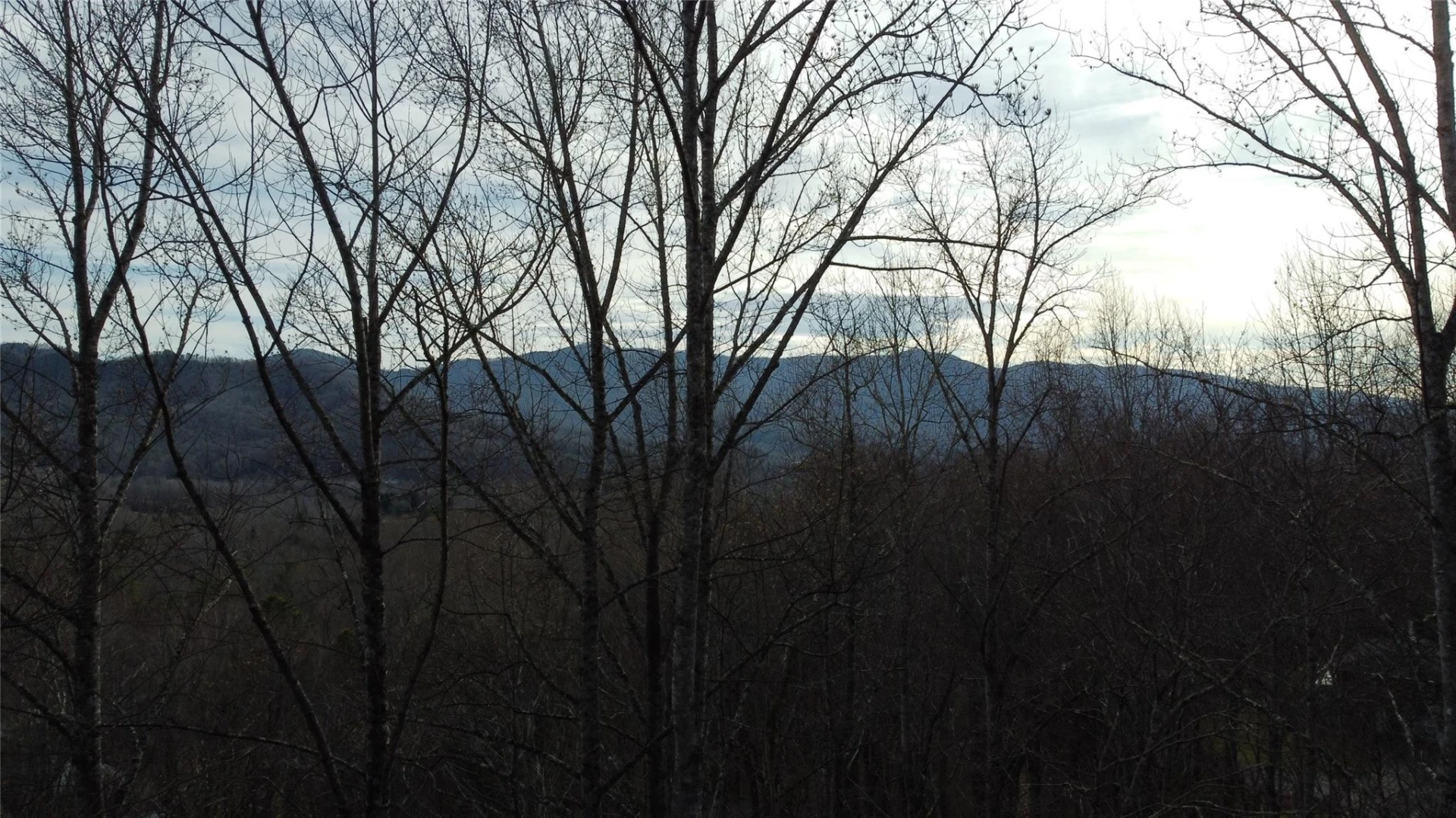 0000 Lookout Terrace Road - Photo 18