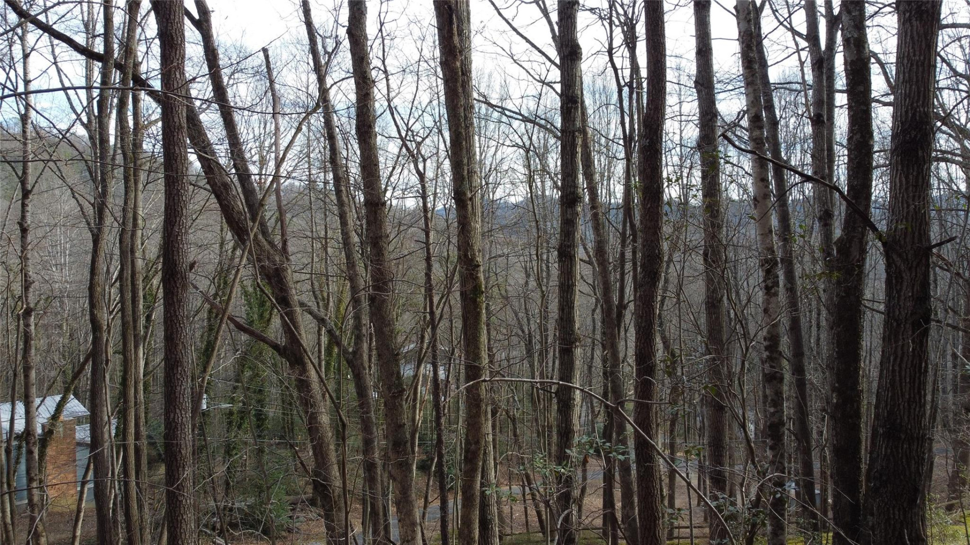 0000 Lookout Terrace Road - Photo 19