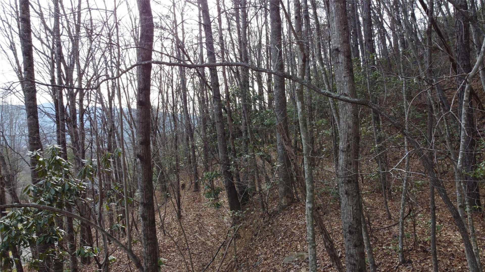 0000 Lookout Terrace Road - Photo 20