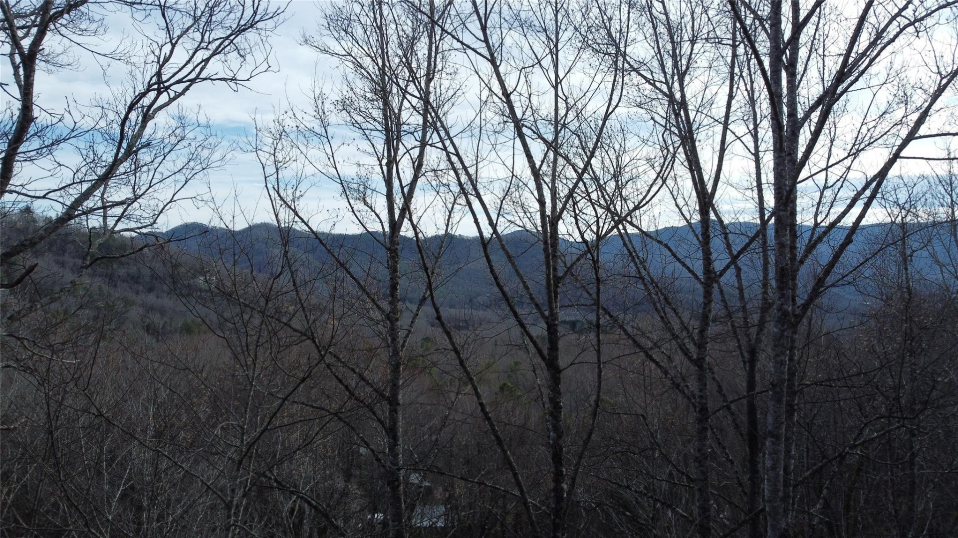 0000 Lookout Terrace Road - Photo 3