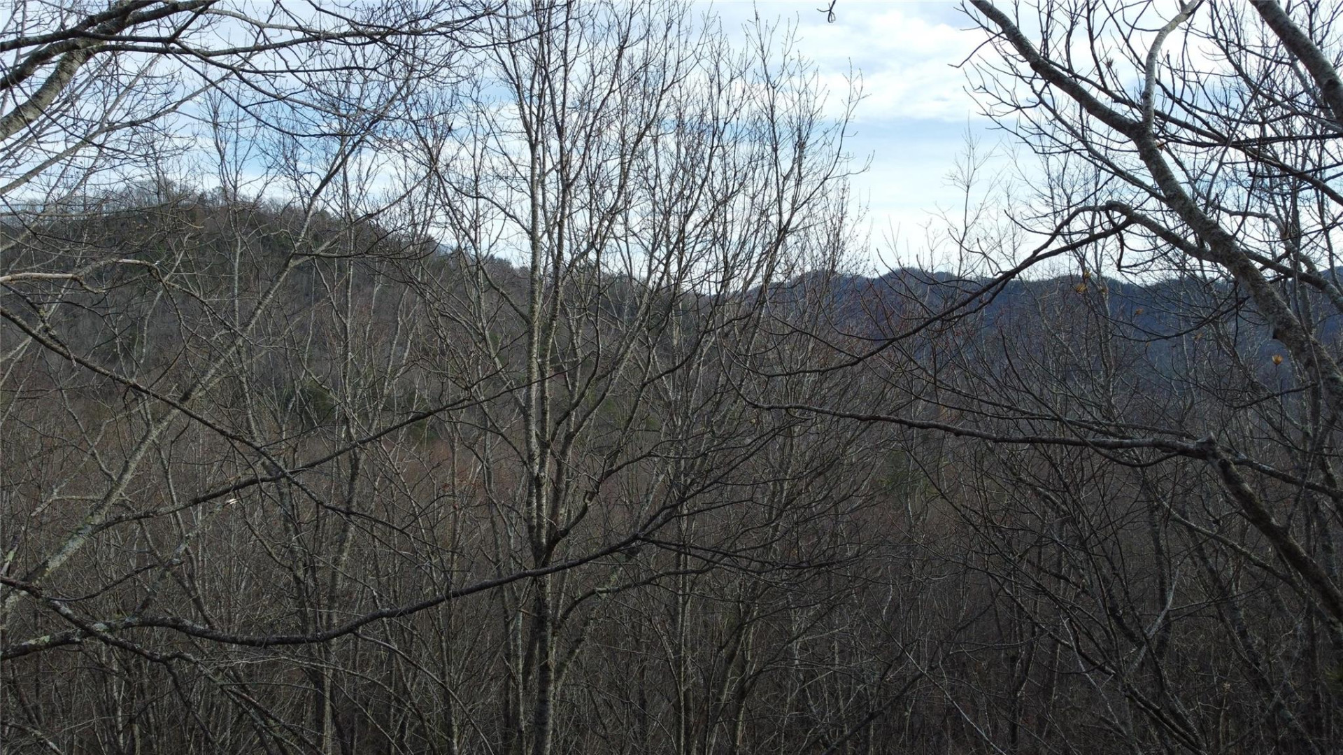 0000 Lookout Terrace Road - Photo 21