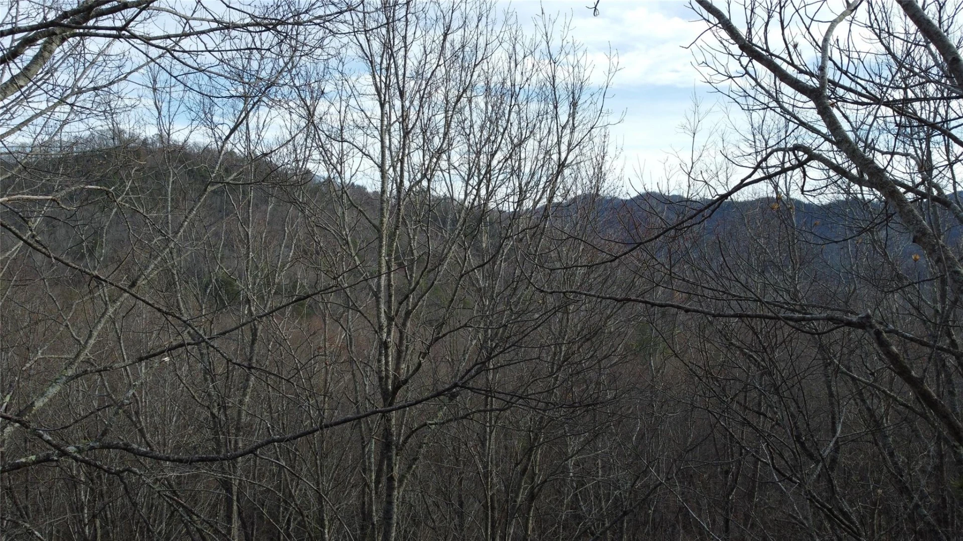 0000 Lookout Terrace Road - Photo 21
