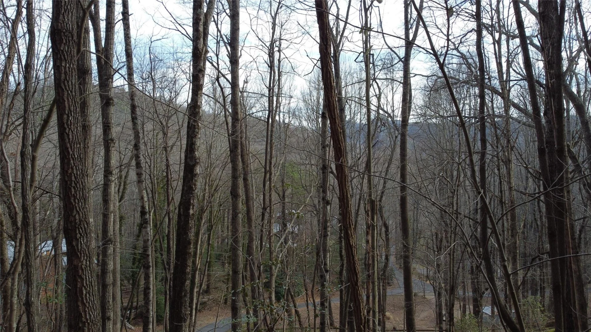 0000 Lookout Terrace Road - Photo 22