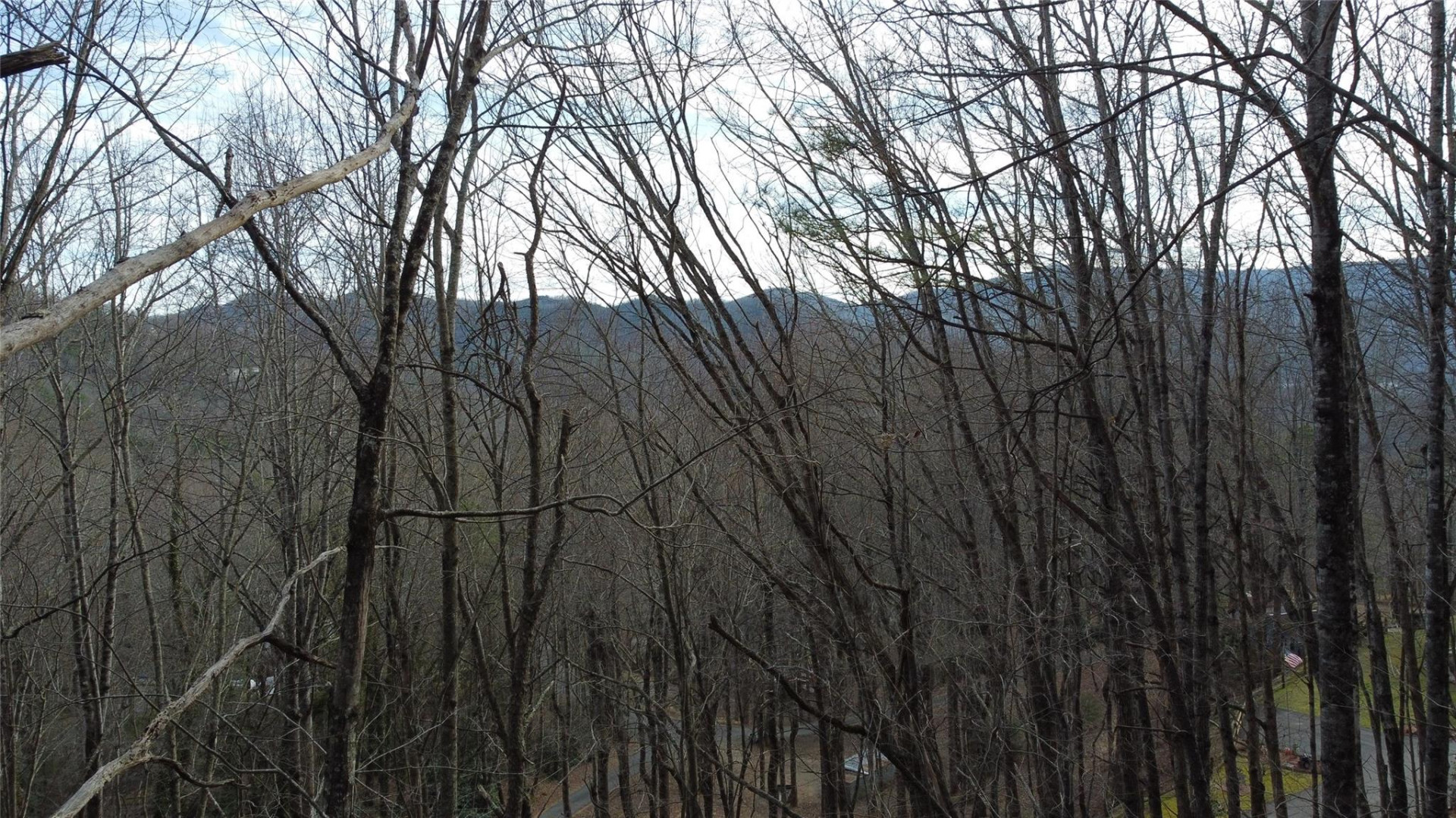 0000 Lookout Terrace Road - Photo 23