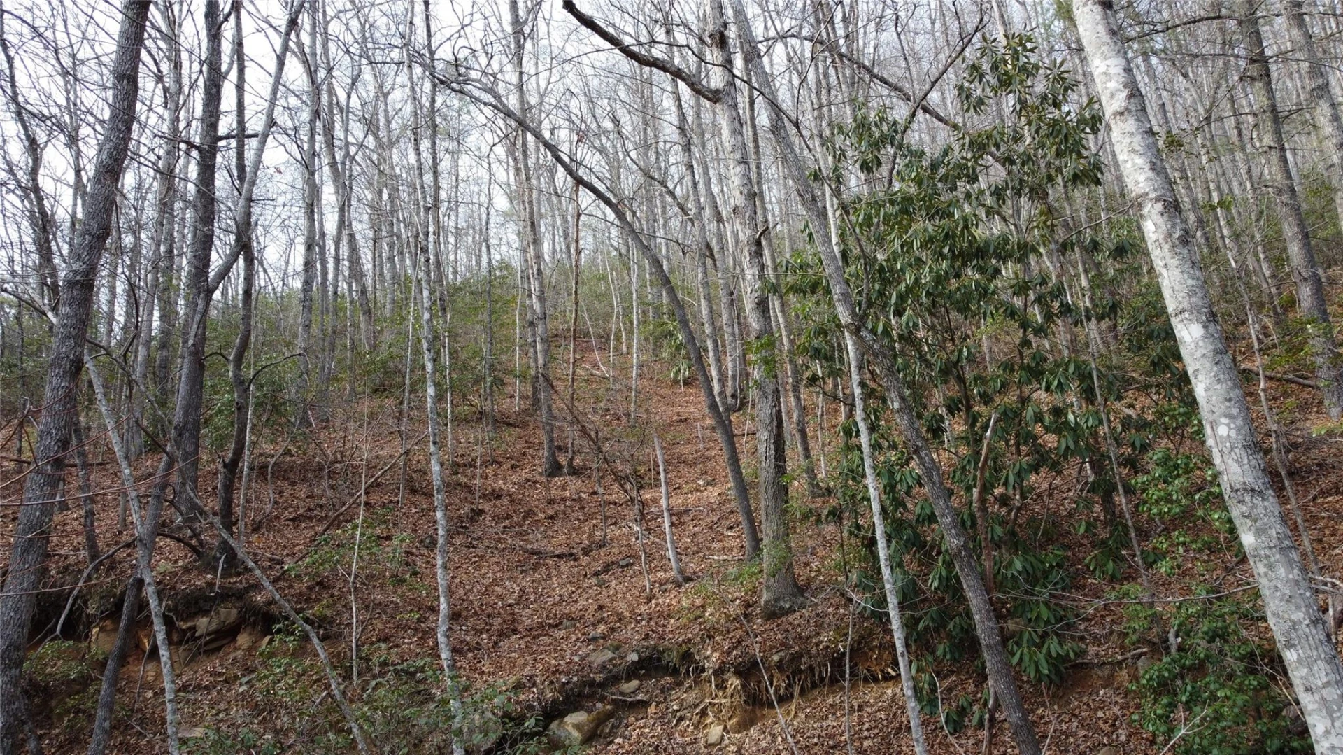 0000 Lookout Terrace Road - Photo 24