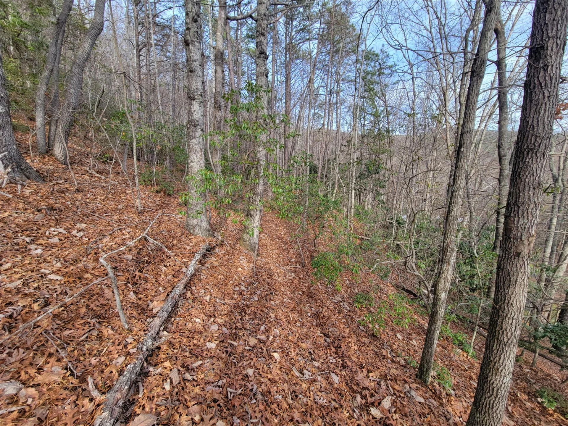 0000 Lookout Terrace Road - Photo 26