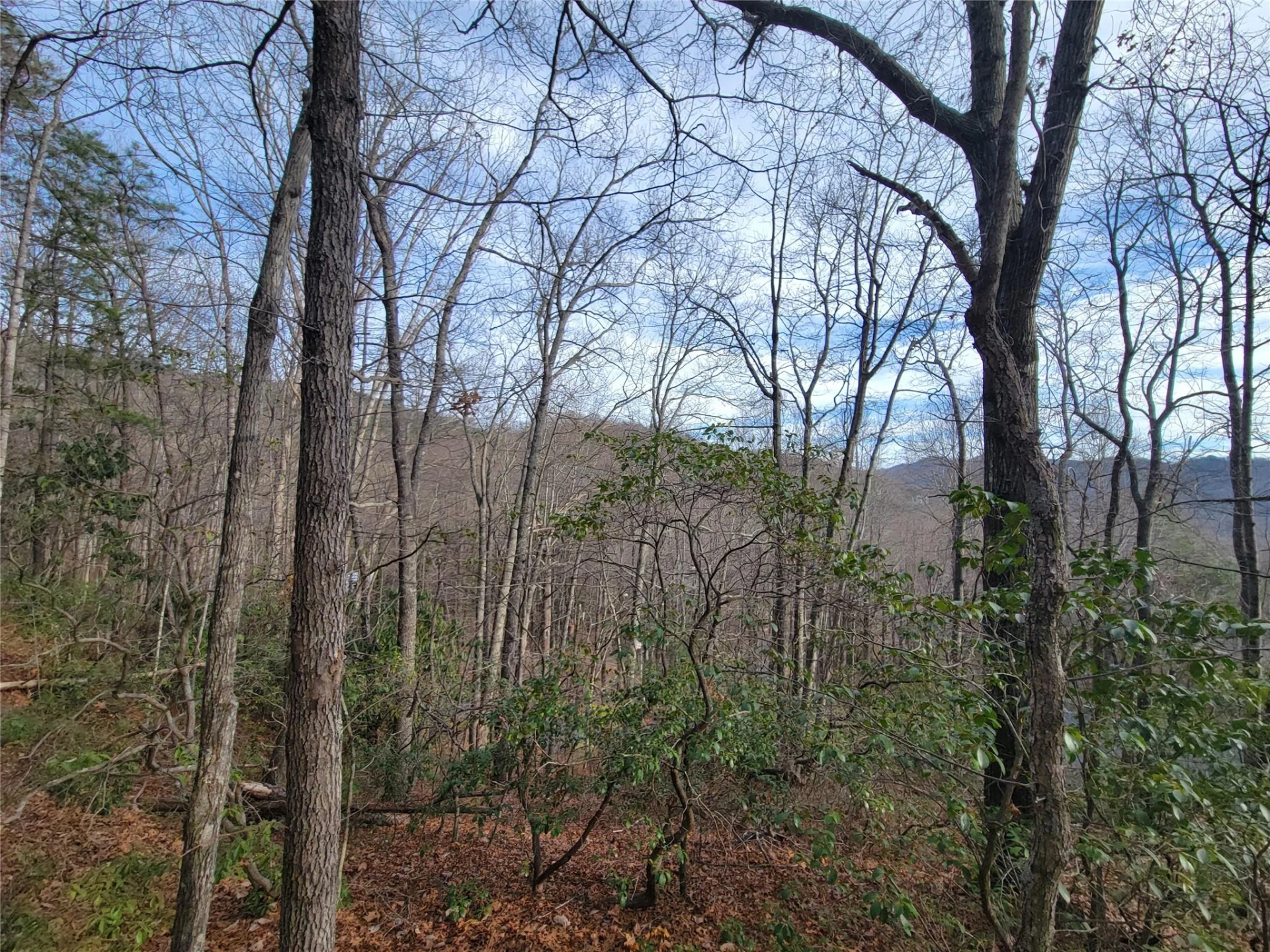 0000 Lookout Terrace Road - Photo 27